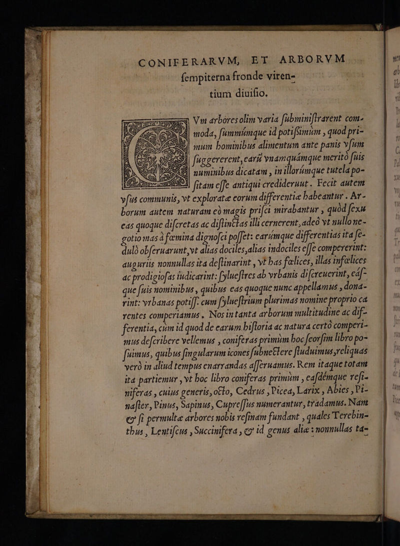 CONIFERARVM, E T ARBORVM | (empiterna fronde viren- tium diuifio. rx Vm arbores olim varia fabminiflrarent com. S (Gro eS ed moda, [ummtimque 1d potiffimum , quod pri- Psweeged| mum bominibus alimentum ante panis vfum 252» S02987| fuggererent, caríi ynamquámque merito fuis EAE mumimibus dicatam , in illormque tutela po- MünmwusDENON rtdm e(Te antiqui crediderunt. Fecit autem vfus communis, vt exploratee eorum differentie babeantur . Ar- borum autem naturam e magis pri[ci mirabantur , quód fexu cas quoque difcretas ac diflintlas ill cernerent adeo vt nullone- gotio mas à foemina digno[ai po[[et: eavinque differentias ita fe- dul obferuarunt,vt alias dociles;alias indociles effe compeverint: auguriis nomullas ita de[tmarint , vt bas felices, illas infelices ac prodigtofas iudicarint: [ylueftres ab vrbanis di[creuerint, eá[- que fuis nominibus , quibus eas quoque nunc appellamus , doua- vint: yrbanas potijJ. cum fylueflrium plurimas nomine proprio ca ventes comperiamus , Nosintanta arborum multitudine ac dif- ferentia, cim id quod de earum biftoria ac natura certó cotpert- mus de[cribere vellemus , conifetas primiim boc feovJtm libro po- fuimus, quibus fmgularum icones fubneElere fluduimus reliquas verà in aliud tempus enarrandas a[Jeruamus. Rem itaque totam ità partiemur vt boc libro coniferas primum , eafdémque refi- niferas , cuius generis, otto, Cedrus , Picea, Larix , Abies , Pi- nafler, Pinus, Sapinus , Cupre[fus numerantur, tradamus. Nat c9 fi permulte arbores nobis reftnam fundant , quales Tercbin- thus , Lentifcus , Succinifera , «y id. genus alia : nounullas ta- (Q . HU ESOEIRHQEENEEE EE