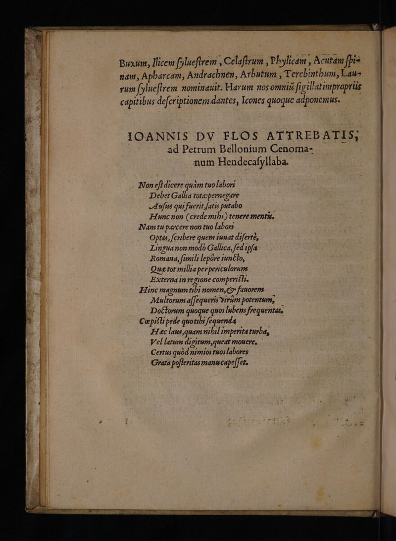 Buxun, licem fylueflrem , Celaftrum , Phylicam , Ncutam [pio — j nam, Apbarcau, Andracbnen, Arbutum Terebintbum, Laus —— vum fylueflrem. nominat. Harum nos omniii fi eillatimpropris capitibus defcriptionem dantes, Icones quoque adpoucHus. - A ad Petrum Bellonium Cenoma- | num Hendecalyllaba. AE S IOANNIS DV FLOS ATTREBATIS; Non ejl dicere quàm tuo labori Debet Gallia tota:pernepare Aufus qui fuerit [atis putabo — | EN DUM Hunc non (crede mibi) tenere menti. Ie Nam tu parcere non tuo laborr Optas, fcribere quem suat diferte, Lingua non modo Gallica, fed ipfa Romana, fimili lepóre 14n6lo, Que tot millia per periculorum Externa invegione comperit. —— Elinc magnum tibi nomen,qz fauorem Multorum a[Jequeris Yirum potentum, . Do£lorum quoque quos lubens frequentas, Copisli pede quotibi fequenda : H ec lausquam nibil imperita turba, Vel latum digitum,queat mouere, — Certus quód nimios tuos labores Grata po[leritas manucape[[et.