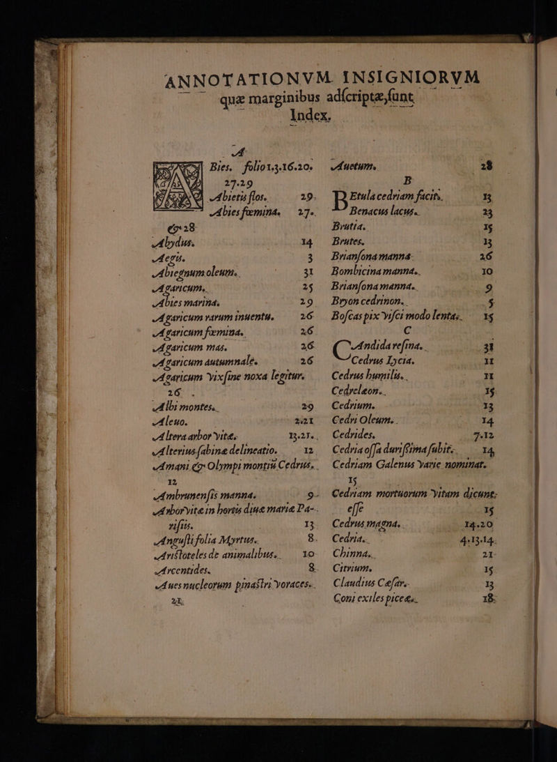 — v| Bjes. folio1.3.16.20. ANA 2725 di d bydis. 14. depu. : 3 Abiegnum oleum, 31 204r ICHPH. 25 v Abies marin, | 219 JA garicum varum inuenta. 26 JA garicum faemima.. 26. v4 'Pavicum nts. 26. v garicum autumnale. 26 JA garicum Yix[ine noxa legitur. 26: . Ó Mbimontes, — 29 A leuo. | 22i d lteva aybor yit, 13.27... vA terius (abine delimeatio. I2. mani eg Obmpi monti Cedrus, Ambrumnen[(is manna. 9- ed nboryite 1n bortis diue marie Da-.. zfis. | I3 Angli fol. ja Mortus.. 8. Aridloteles de animalibus, — 1o- AL|rcentides.. 8. A ues nucleorum prnastri Yoracess. d uetum. . 28 dut LEE B» cedriamfacih, — 0 Benacus lacus. 23 Brutia. | dae Brates. 13 Byianfona manna. 216 Bomlicimamanna..— IO Brianfona manna... mneT9y Bryon cedrinon. | | Ard Bofcas pix vifci modo lentas, -— vs cud ( «o vefina. o LIRE Cedrus Lycia. Queer Cedrus humilis. . DM Cedrcleon... | E Cedrium. Tu Cedri Oleum. . 14 Cedrides. 7.12 Cedriam Galenus Yane nominat. : e[fe ME Cedrus magna. mom Cedria. QUE. MES t4. Chinna... 21: Citrium. 1$ Claudius C efar.- I3. x!