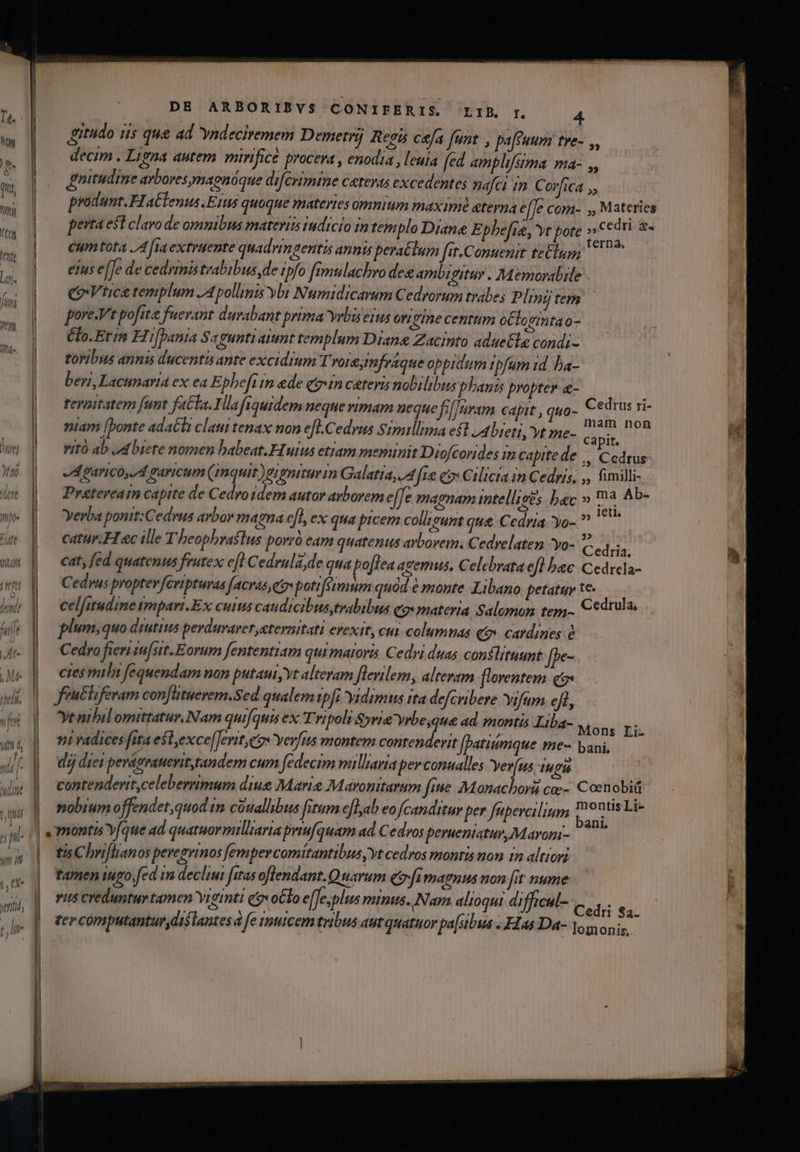 gitudo its que ad Yndeciremem Demetr Regis cafa [unt , paffuum tre decim . Ligna autem. mirifice procera , enodia , leuia fed amplifsima ma- ,, rnitudme arboresmagnóque diferimime ceteras excedentes nafci 1m. Corfica ,, 7 33 perta est clavo de omnibus materiis indicio intemplo Diane E phefie, vt pore cedri &amp;- Cumtota JA fia extruente quadrmgentis annis peratlum fit-Conuenit tel eius e[Te de cedrinis trabibus de ipfo [emulachro des ambigitur . Memorabile - CoVtice templum Apollinis ybi Numidicarum Cedrorum trabe; Plinjtem pore.Vt poft fuerant durabant prima vrbis eius orerine centtim oClovintao- Clo.Er in FIi[bania Saguntiaiunt templum Diane Zacinto adue&amp;le condi- toribus annis ducentis ante excidium Troreymfraque oppidum ipfam id. ba- beri, Lacunaria ex ea Ephe[timn ede qoin catervis nobilibus plants propter «- tevnitatem funt fatla.Tllafiquidem neque vimam neque fel [uram capit , quo- niam [bonte adati claui tenax non efl.Cedrus Simillima eft /Abieti, yt me- 23 NE ritó ab Jd biete nomen babeat.EIutus ettam meminit Diofcorides in capite de || Cedrus- A p4rico, d varicum (Inquit) )ognitur in Galatia, 4 'fre ox Cilicia in Cedris, ,, fimilli- Pretereatn capite de Cedroidem autor arborem effe magnam intellisis bec » a Ab- Yerba ponit:Cedvus avbor magna e[L, ex qua picem colltount que. Cedria Yo- ^ ^ | catur. H «c ille T beophrastus porró eam quatenus arborem. Cedvelaten yo- Ced i cat, fed quatenus frutex efl Cedrula;de qua poflea agemus, Celebrata efl bac Cedrcla- Cedvus propter fcripturas [acras eov poti fumum quàd à monte. Libano petatuy te celfitudine impari.Ex cutus caudicibus trabibus eg« materia Salomon teg Ccdrulas plum; quo dzutitus perduvavereteraitati evexit, cui columnas t». cardines à Cedro fieriiu[sit.Eorum fententiam quimatoris Cedri duas conslituunt fpe- cres miln fequendam non putaui,vt alteram flerilem, alteram florentem eo feutliferam con ütuerem.Sed qualemipfi vidimus rta defcribere Yifum eft, yenibil omtittatur, Nam quifquis ex Tripoli &amp;yri&amp; Yrbe,que ad. montis Liba- ?1 radices fita esl,exce[]evit, go Yerfns montem contenderit fpatiumque me- dij diei pevágranevittandemi cum fedecim milliaria perconualles Yeríus 1405 contenderit,celeberrimum diue Marie Maronitarum fine Monacborü co-- Coenobii nobium offendet quod in couallibus fitum c[lab eo fcanditur per fepercilium Ww» Lb» Cedrus ri- Mons Li- bani. tis Chriflranos pevemvrnos [empercomitantibus yt cedros montis non 12 altiori tamen iugo. fed in declimi itas oflendant.Q uarum efi magnus non fit nume rus creduntur tamen Yizinti e$» oclo e[Te;plus minus. Nam alioqui difficul- CEN y pé Cedr $a. ter computantur distantes d fe rmuicem tribus autquatuor pa[sbus .. Fas Da- lomonis;.