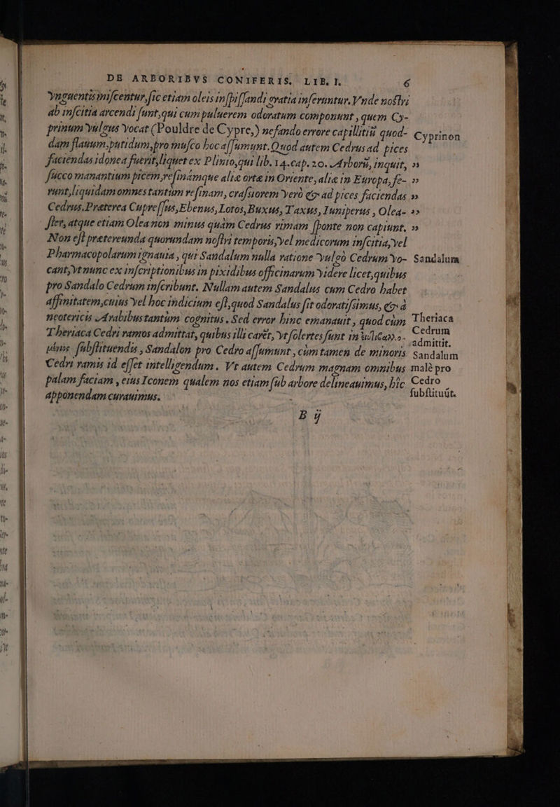 DB ARBORIBVS CONIFERIS, LIB.I (6 Yuguenta mifcentur fic etiam oleis miPifJandi vvatta infermntur. Vnde nofty; ab imfcitta arcendi ftnt;qui cum puluerem odoratum compontit , quem Cy- prinum yulous Yocat (Pouldre de Cypre,) nefando errore capiliti quod- Cy prinon dam flaum.putidum,pro mufco bocafTumunt. Quod autem Cedrus ad pices faciendas idonea fuerit,liquet ex Plinto,qui lib. 14-C4p. 20. dE rborii, inquit, n fucco manantium prcem yefmamque alte orte in Ovrente, alie in E «ropa, fe- » vant liquidamomnes tantum vefimam, cra siovem Yerà e ad pices faciendas » Cedryus. Preterea Cupre[Tus, Ebenus, Lotos, Buxus, T'axus, Iniperus , Olea- 2» Non efl preteveunda quorundam no[lyi tempors,yel medicorum mí[citiay vel Pharmacopolarum ignauia , qui Sandalum nulla vatione Yuleo Cedrum Yo- Sandalum - cant; yt nimc ex imfeviptionibus im pixidibus officinarum Yideve licet,quibus pro Sandalo Cedrum snferibunt, Nullam autem Sandalus cum Cedro babet affmitatem,cuius Yel boc indicium efl,quod Sandalus fit odovatifsimus, e à i; neotertcts ,Avabibustantum Cognitus . Sed error binc emanauit , quod cum Theriaca . dte us e Cedrum T heriaca Cedri vamos admittat, quibus 1llt cavet, yt[olevtes fant in udlitan.a- Briros ubítituüt. Bj