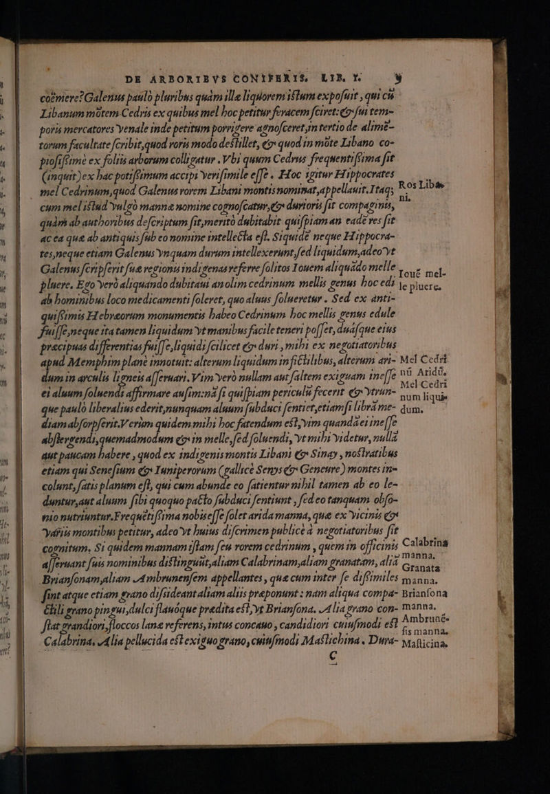 2a o EL TELLE: | a dr num liqui» que paulo libevalius ederit,nunquam aluum [abduci fentietetiamft librá me- dum, I a[feruant [uis nominibus diflinguit,aliam Calabrinam,aliam pranatam, ali C. re C —