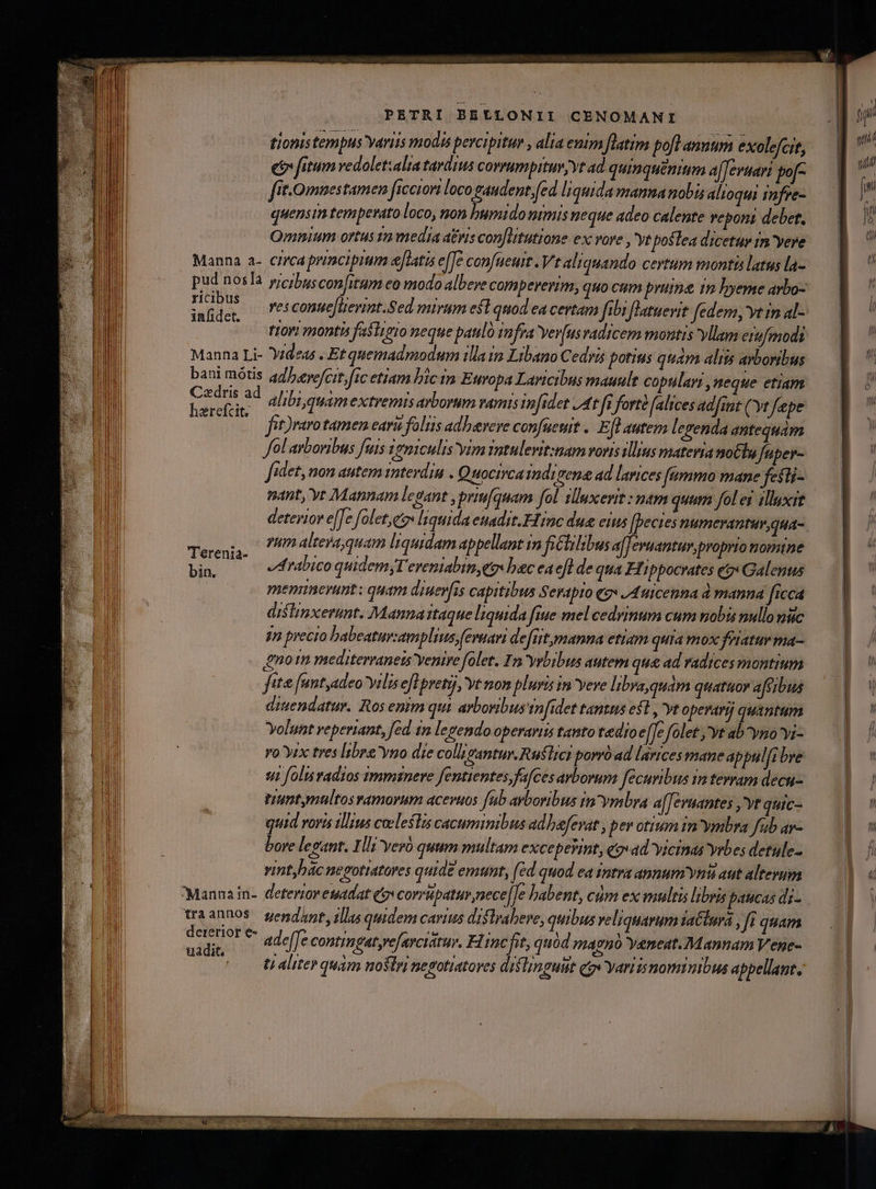 tionis tempus Yaris modis percipitur , alia enim [latim poll annum exolefcit, e fitum vedolet:alta tardius corrumpitur, yt ad quinquenium a[fevuari fo[- fit.Qimnestamen ficciori loco n aci liquida manna nobis alioqui imfre- quensim temperato loco, non humido nrmis neque adeo calente veponi debet. Qmnium ortus 1 media atris con[litutione ex vore ,'yt postea dicetur 1n yere Manna a- circa principium elatis e[e confueuit Vt aliquando certum montis latus la- pu ^ 05a vie;ibusconfitum eo modo albere compererim, quo cum pruine 10 hyeme arbo- YIC1DUS t10Y! montis fastimio neque paulo infra vev(us vadicem montis yllam erufmods Manna Li- Yideas . Et quemadmodum illa im Libano Cedris potius quam aliis arboribus bani mótis ad/eye[cir [1c etiam bic im Europa Laricibus mauult copulari , neque etiam NUS E alibi quam extremis arborum vamis infidet /4t fi forté (alices adfant yt fepe Nr d Jet)raro tamen eara falis adbevere confuewit . Efl autem lerenda antequam ol avboribus fuis 1e0iculis yim Yatulevit:nam voris illius matevia no&amp;lu Juper- fidet, non autem intevdin . Quocirca imdigena ad larices ftmmo mane fesli- nant, yt Mannam legant , priufquam fol sluxerit : nam quum fol ei illuxit deterior e[Je folet,ez liquida enadit.Finc due eius [pecies numcranturqua- Teen ^ altesayquam li quidam appellant m ficlilibus a[[evuantur,proprio nomtne bn Arabico quidem,T eveniabin,eo bac ea eft de qua Hippocrates eg Galenus meminerunt: quam diuer[is capitibus Sentpio (9 JA utcenna d manna ficca distinxerunt. Manna itaque liquida fiue mel cedvinum cum nobis nullo niic gn precio babeatur:amplius,(evuari defit,manna etiam quta mox feratur ma- nom mediterraneis venire folet. Ira yrbibus autem que ad vadices montium fite [antyadeo yrlis eflVpvetij, Vt nom pluris in 'yeve libya qudm quatuor afeibus ditendatur. Ros enim qui. arboribus m[idet tanttis esl , yt operari quantum Yolunt veperiant, fed n legendo operarits tanto tedioe[Te folet yt ab^yno yi- vo yrx tres [abre yno die colligantur.Ruftici porró ad lárices mane appul[ibre sui fol vadios immsnere fentientesfafces arborum fecuribus in tevram decu- Wuntymultos ramorum acevuos [ub avboribus inymbra a[fevuantes ,'yt quic- quid vora tllius coeleftis cacuminibus adbefevat , pev otium in 'ymbra fub av- bore legant. Ill yeró quum multam exceperint, qovad vicinas yrbes detule- vintyhác nepotiatores quide emunt, (éd quod ea intra annum vni aut altevum traannos gepdint, 1] quidem carius distrabere, quibus veliquarum tacnra , fi quam à s isl ** adeffe contingat,refarciátur. Hu incfit, quód magno yeneat.Mannam Vene- «v. tialiterquim noflri negotiatoves distinguit qas yariisnominibus appellant.