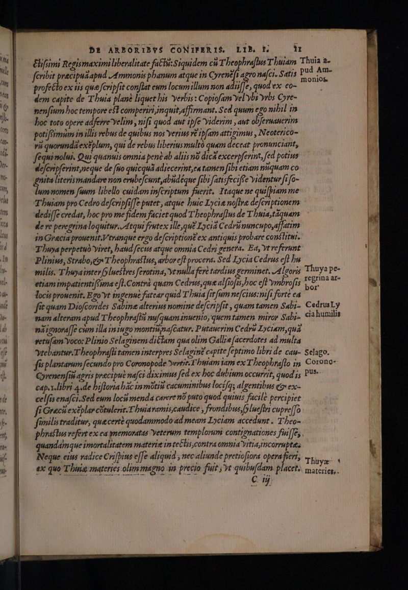 &amp;lifsimi Regismaximi liberalitate fatiu:Siquidem cis T beophra[hus T uiam 'Thuia 2. feribit pracipuaaptid /4mmonis panum atque in Cyrentfi apro nafci. Satis dad jon profe&amp;lo ex 1is que fcripfit conJlat eum locum illum mon 3b quod ex. eo- penfium boc tempore esl compeniiimquit,affirmant. Sed quum ego nibil 1n hoc toto opere adferre Yelim , nifi quod aut ipfe viderim , aut obJernauerim poti [Prmum im illis vebus de quibus nos yerius ve ipfam attigimus , Neoterico- vii quorndaexeplum, qui de vebus liberiusmultó quam deceat pronunctant, féquimolui. Qui quanuis omnia pene ab aliis nà dica excerpferint, fed potrus deJcripfevint,neque de [uo quicquá adiecerimt,ea tamen [ibi etiam niiquam co: gita literismandare non erube[cunt abudeque [ibi fatisfeciffe identwr ft fo- lumnomen fuum libello cuidam infcriptum fuerit. Itaque ne qui[am me: Tbuiam pro Cedro defcripfi/Te putet', atque buic Lycie no[lre defersptionem ledi[Te credat, boc pro me fidem faciet quod T beophra[lus de T hua,taquam: de ve peregrina loquitur. Atqui fiutex ile,qu£ Lycia Cedri nuncupo,afJatim jn Grecia prouenit. V'tranque ergo deJcviptiont ex antiquis probare coustrtui.. Y'buya perpetuo vivet, baud fecus atque omnia Cedri genera. Ea, Yt vefevunt Plinius, Strabo, T beophraétus, arbor efl procera. Sed Lycia Cedrus efl bu milis. T huyainter [5luestres fevotina, yt nulla fere tardius gevemet. 7A ltovis Thuya pe- etiam impatienti[eyna c[l.Contrà quam Cedrus,qua alfiofas, roc eft ymbrofis diem n locis prouenit. Epo'yt d fatear quid T bura frt fam necius: mfi forte ea fit quam Diofcorides Sabine alterius nomme defcripfit , quam tamen Sabi-. CedrusLy mam alteram apud T beopbra[li nufquamanuento, quem tamen miror Sabi- €? humilis pa romora[Je cum illa m1ugo monti na[catur. Putaucyim Cedra Lyciam qua vetufam Yoco: Plinio Selaginem diClam qua olim Galle [acevdotes ad multa ytebantur.T heophra[li tamen interpres Selavint captte feptimo libri de cau- Selago. fis plantarum fecundo pro Coronopode vertit Y'hutam vam ex T beopbra[lo im. Corono- Corenen[ii agris precipue nafca diximus fed ex boc dubinm occurrit, quod ;5 P'9- capax.libri 4.de biflona bác im motiu cacumimbus loctfas algentibus o exc- cel[is emaci.Sed eum loci menda cavere nt puto quod quiuis facile percipiet fi Gracuextplar cótulerir. T buta vamtsycaudice , frondibus fplueflei cupve[To fmnilis traditur, quecerte quodammodo ad meam Lyciam accedunt .. T.heo- phraslus vefevt ex ea gmemovatas veterum templorum contrgnationes fi[]e quandamque smortaliatem mateyvie m te&amp;lis,contra omnia Yifid mcorruptés Neque ems Vadice €n [pius e[fe aliquid y 26€ aliunde pretiofiora opera fierr, Thay: 4 ex quo Thiria materies olim magno n. precio fuit ye quibm[dam. placet. maceries,. C m XL ^. px Y
