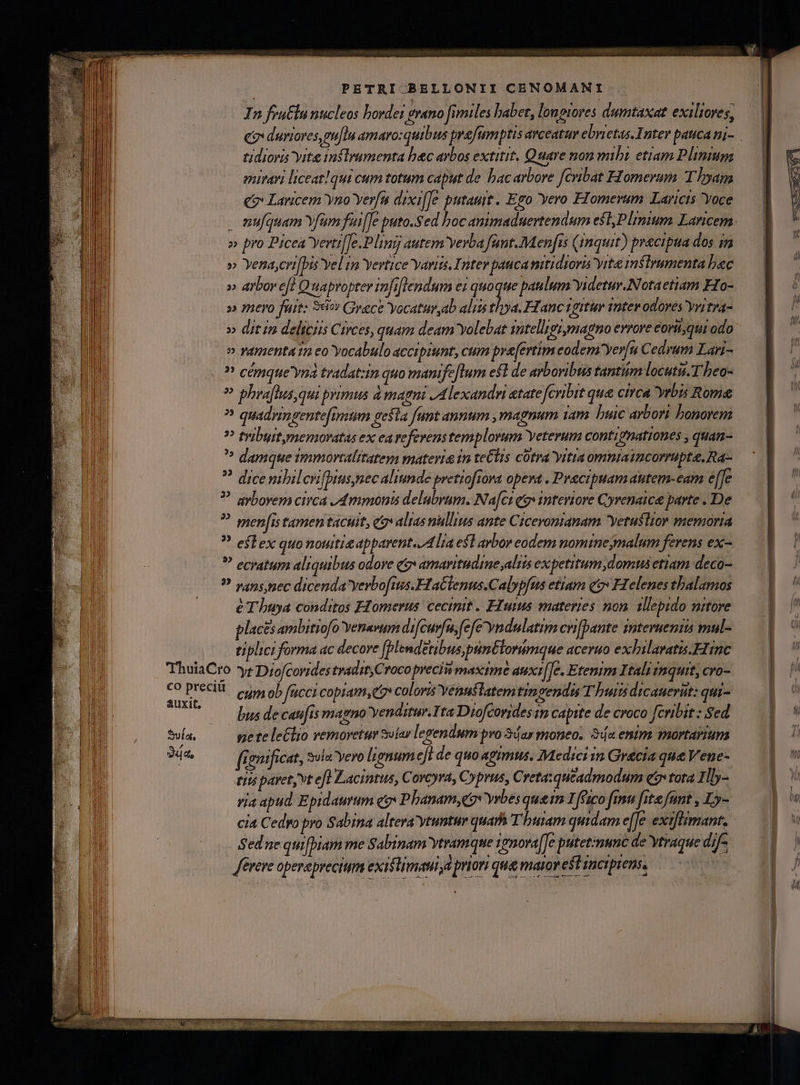 n c duriores, pu[lu amaro:quibus prafumptis arceatuv ebrietas. Inter paca nj- tidioris yite inflrnmenta bec arbos extitit, Quare non mibi etiam Plinium mirari liceat! qui cum totum caput de bac arbore fcribat Flomeram: T hyam c? Lavicem Yno Yerfa dixif]e putauit . Ego Yero FIomerum Laricis oce . mufquam Yfum fii[[e puto-.Sed boc animaduertendum est Plmium. Laricem » pro Picea Yerti[fe.Plinij autem Yerba fant.Men[is (1nquit) precipua dos 1m » Yena,cri[bis Yel in Vertice Yaris. Inter pauca nitidiori yrte mslrumenta bec » arbor eft Quapropter infiflendum ei quo s paulum yidetur.Notaetiam Ho- » mero fuit: 969 Grece Yocatur,ab aliis thya. FFanc vgrtur intev odores Yritra- » dit in deliciis Circes, quam deam Yolebat intelligi,magno errore coritqui odo » vamentatn co Yocabulo accipiunt, cum pre[ertim eodem'yer[u Cedrum Lari- ? cémque'vná tradatzin quo manife [lum eft de arbovibus tantiim locuti. T beo- ? phraftus,qui primus à mani JA lexandri etate [cribit qua ctrca yrbis Rome ? quadringentefimum gesla funt annum , magnum iam buic arbori bonorem ? tyjburtmenoratas ex ea referens templorum Veterum contignationes , quan- ^ damque mortalitatem matevis 1n teClis cotra Yitia omniaincorrapte.Ra- ? dicemlilenfptusynec aliunde petiofiova opera . Pracipuam autem-eam e[fe ? avbovem circa 4 mmonis delubrum. Na[ct eg» intevtove Cyrenatca parte . De ? menf[istamentacutt, eo altas nullius ante Cicevoniamam yetusltor memoria ? eslex quo nouitieapparent. Alia esl arbor eodem nomtnejmalum ferens ex- ? ecratum aliquibus odove qi» amaritudine aliis ex petitum domus etiam deco- ? vans pec dicenda verbofizs.FlaClenus.Calypfus etiam qa» Helenes thalamos e T'huya conditos FIomerus cecinit. FIuius materies non. 1llepido nitore placesambitiofo Yenevum difcurfu,fefe^yndulatim cri[fpante interueniis mul- tiplici forma ac decore blendetibus,punélorimque aceruo exhilavatis.Hinc ThuiaCro yt Diofcorides tradit Crocoprecis maxime auxi[[e, Etenim Itali inquit, cvo- COPISOU mob fgcci copiam,e» coloris Yenuslatem tinsendis T buits dicauerit: qui- auxit, v 2 D o 4 s bus de caufis magno Yenditur.Tta Diofcorides m capite de croco fcribit : Sed Sua, peteletlio remoretur Soíar ! egendum pro Sdar moneo. 3da entm mortavium da, (ienificat, ula yero lignume]i de quo agimus, Medici in Gracia que Vene- tiis pavet, vt efl Lacintus, Corcyra, Cyprus, Cveta:quéadmodum qo» tota Illy- ria apud Epidaurum eo Phanam,qge vrbes que n 1 faco finu fita fant , Ly- cia Cedyo pro Sabina altera ytuntur quamh Thuram quidam e[Je exiflimant. Sedne qui[biam me Sabinam Ytramque 1emova[Je putetimunc de Vtraque dif- Aerere opereprecium exittimaui,a priori qua matovestimaipiens,