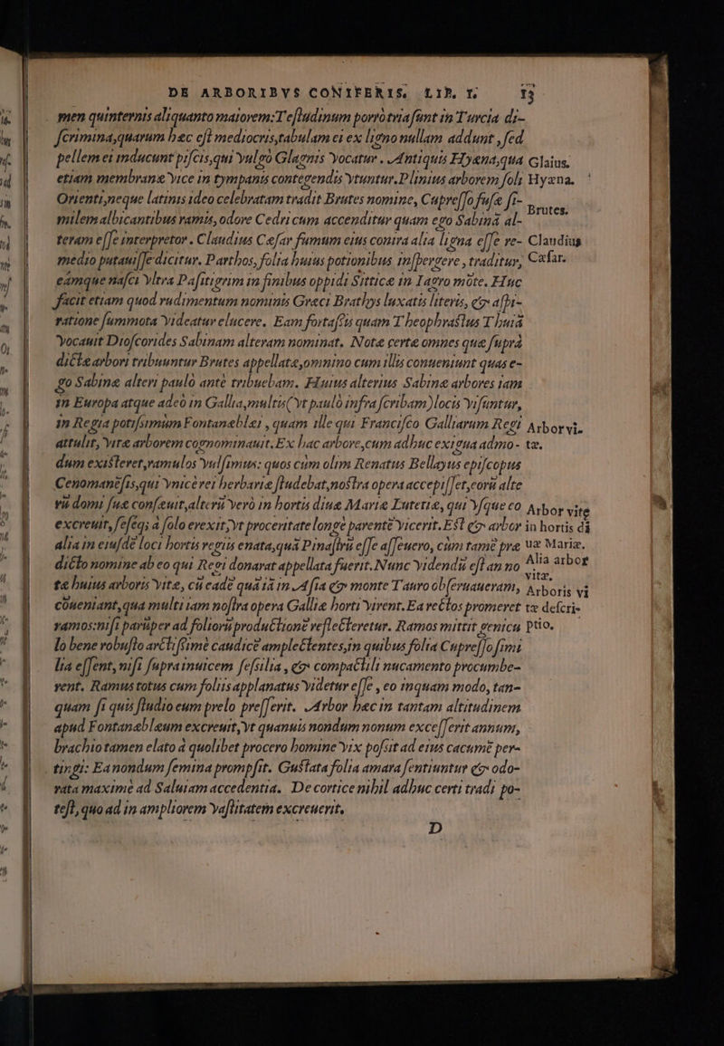 NS. Jerimima,quarum bec cfl mediocris tabulam ei ex ligno nullam addunt , fed pellemei mducunt pifcis,qui yulgó Glagnis Yocatur . Antiquis FTDyena;qta Glaius; etiam membran&amp; yice im tympants contegendis ytuntur.P linius arborem fols Hyxna. Onientineque latinis ideo celebratam tradit Brates nomine, Cupre[To fue f1- iod mlemalbicantibus vamis, odore Cedricum accenditur quam ego Sabina al- d teram e[[e smterpretor . Claudius Cefar fumum eius contra alia ligna e[[e ve- Clandius medio pataui[]e dicitur. Parthos, folia huius potionibus i[berzere , traditur, C*tar- eamque nafci ylera Pafitigrim in finibus oppidi Sittice 1m Iaro mote. FInc facit ettam quod rudimentum nominis Greci Brathys luxatis literis, c afbi- ratione [ummota Yideatur elucere, Eam fortaffts quam T beopbvastus T hurá Yocauit Diofcorides Sabinam alteram nominat, Note certe omnes que fupra diCle arbori tribuuntur Brutes appellate,omnino cum illis conueniunt quas e- go Sabine alteri paulo anté tribuebam. FIuius alterius Sabina aybores tam 1n Regia potifsrmum Fontanebler , quam ille qui Francifco Galliarum Regi. Ab oy i, attulit, yir&amp; arborem cognominauit. Ex bac arbore cum adbuc exigua admo- tz. dum existeret, ramulos yul[imus: quos cum olim Renatus Bellayus epifcopus Cenomanefts,qui Ynicé vei berbavie fludebat,nostra opera accepi[Tet,cori alte Alia m emfde loci bovtis regiis enata quá Pinajfru e[[e a[Teuero, cum tam£ pre ux Mariz, dicto nomine ab eo qui Rei donarat appellata fuerit. Nunc Yidendi efl an no HN couentant,qua multi tam noftra opera Gallie horti Yirent.Ea re£los promeret tx defcri- vamos:mi[i paruüper ad folioru produ&amp;ltone vefleCleretur. Ramos mittit eenicu Po. — lo bene robu[lo avCliffmé caudice ample£tentes,m quibus folia Cupre[To [imi lia e[fent, wifi fuprainutcem fefsilia , qo» compatlili nucamento procumbe- vent. Ramustotus cum foliis applanatus yidetur e[fe , eo 11quam modo, tan- quam fi quis fludio eum prelo pre[[erit. Arbor bec im tantam altitudinem apud Fontanebleum excreuit,yt quanuis nondum nonum exce[erit annum, brachio tamen elato à quolibet procero bomine yix pofsit ad eqs cacumé per- vata maxime ad Salutam accedentia.| De cortice nibil adbuc certi tradi po- tfl quo ad 1a ampliorem Ya[litatermn excreuerit, p -W eR