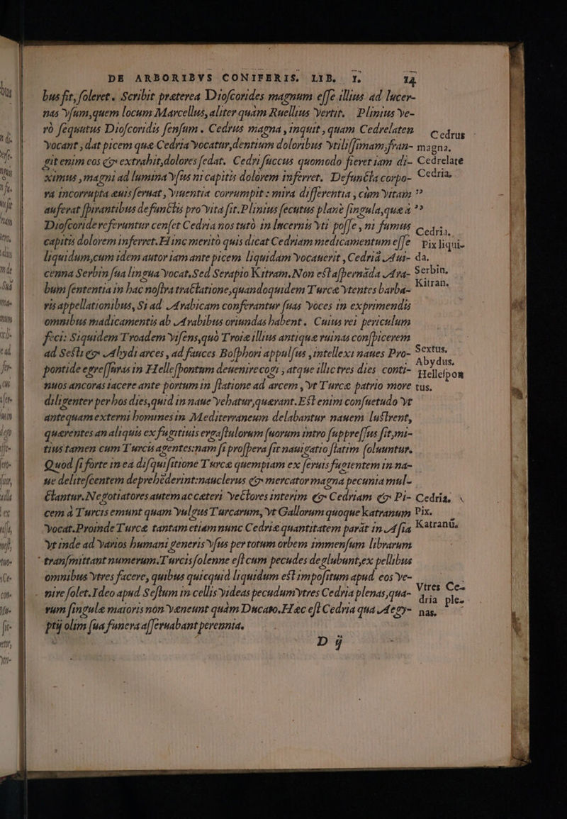 — bus fit, foleret . Scribit praterea Diofcondes magnum e[fe ilius. ad lucer- nas Yfum,quem locum Mavcellus, aliter quam Ruellius Yertit. | Plinius Ye- rà fequutus Diofcoridis fenfum . Cedrus mapna , mquit , quam Cedrelatem — c os Yocant , dat picem que Cedria Yocatur dentium doloribus vytilil[imam;fran- ma gna, git enim eos cg» extrahit, dolores edat. Cedyi fuccus quomodo fievet iam. di- Cedrelate ximus magni ad lumina Y[us ni capitis dolorem inferret. Defuncia corpo- Cecria, ya incorrupta euis eruat ,Yruentia. corrumpit : mra differentia , cám Vitam ? auferat [Dirantibus defantlis pro^vita fit. Plinius fecutus plan? [ineula,que a ** Diofcoride refevantur cen[et Cedia nos tutó 1n Incernis yt? po[[e , mi fumus Cedria capitis dolorem imferret.Fl imc merito quis dicat Cedriam medicamentum effe. pis] iqui- liquidum,cum idem autor tam ante picem liquidam Yocauerit , Cedriá /4t- da. cenna Serbim fua limeua Yocat.Sed Serapio Krtram.Non eft afbernáda /Apa- 5crbin. bum fententia 1m bac nofira traGlatione,quandoquidem Turca vtentes barba- Vae vis appellationibus, S1 ad J4rvabicam conferantur fuas yoces In exprimendi omnibus madicamentis ab /Avabibus oriundas habent | Cuius vei. peviculum fici: Siquidem T'roadem Yifens,quo T'rore illius antiqua vuinas con[bicerem ad Sesli gy» ,Abydi avces , ad fauces Bofbbori appul[us intellexi naues Pro- iai pontide egre[Invas y Helle [Pontum deuenire cogi , atque illictves dies. conti- MA Xm tuo5 Ancoras tacere ante portum in [latione ad arcem ,'yt T'urce. patrio more tus. diligenter perbos dies,quid in naue yebatur,querant. Est enim confuetudo 'yt antequam externi bomines in. Mediterraneum delabantur nauem luflrent, quaventes an aliquis ex fugitius evgafltnlorum [uorum intro f(uppre[[us fitymi- tius tamen cum Turcis apentes:nam fa pro[Dera fit nautgatto [latim ol uuntur. Quod fi forte 1m ea difquifitione T'rce quempiam ex fevuis fuetentem rn na- sje delitefcentem deprebederint:naucleus qz» mercator magna pecunia mul- Claptur.Negotiatores autem ac ceteri YeClores interim e: C edriam Q9: Pi- Cedría, cem à T urcisemunt quam yulgus Turcarum, Yt Gallorum quoque katranum Vix. —— vocat. Proinde Turc tantam etiamnunc Cedri quantitatem parát in A fra Reap Ytinde ad Yarios humani generis v[us per torum orbem immenfum librarum omnibus ytres facere, quibus quicquid liquidum est impofitum apud. eos Ye- vire folet. Ideo apud Seflum im cellis 'yideas pecudum ytres Cedria plenas,qua- vum fingule matoris non yeneunt quàm Dtcato.H &amp;c efl Cedvia qua J4e8-. nas, pti olim (ua funeva a[Jermabant perennta. Vtres Ce. bj t ——À—Á o—À ET d