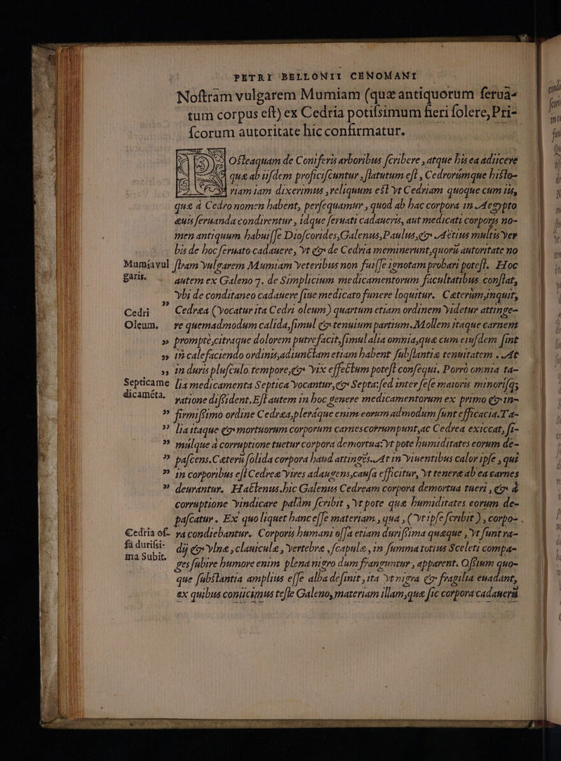Noftram vulgarem Mumiam (quz antiquorum ferua^ tum corpus eft) ex Cedria potifsimum eri folere;Pri- | | m | Ícorum autoritate hic confirmatur. v Ii a ' ll i ; TAEORS n I j335 | (ii l | Ofleaquam de Coniferis arboribus [cribere , atque biseaaducere 1 30. : ^ « ] J qu&amp; ab ufdem proficifcuntur , [latutum e[l , Cedvorumque bislo-— 1 1, CFCM riamjam dixerimus , veliquum esl yt Cedriam quoquecumitt, 3 y 4£ à Cedronomen babent, perfequamur , quod ab hac corpora im J4egypto. — &amp;uts feruandacondirentur , idque feruati cadaueris, aut medicati QUE o J T  m. ^ A e i ES. ; E, F use ! — d  i E iw ^ aot : —— MM ÀÀ— — : S TE EE —— LLL —rm DOTT EIL S ITE REGE ARMEN €—————— PHÓ m———12 — - — I II — P L4 t£ B 22 — £. x 3 xw S AS G 3 S E S: S xw Cy he CÓ S C &amp; v3 iw] S3 EY Qs *$ e PN 3 S [s C A v. cR [* RR A e es fubive humore enim. plena nigro dum franguntur , apparent. O[ftum quo- que fubstantia amplius e[fe alba demit ita ve nigva qo fragilia euadant,
