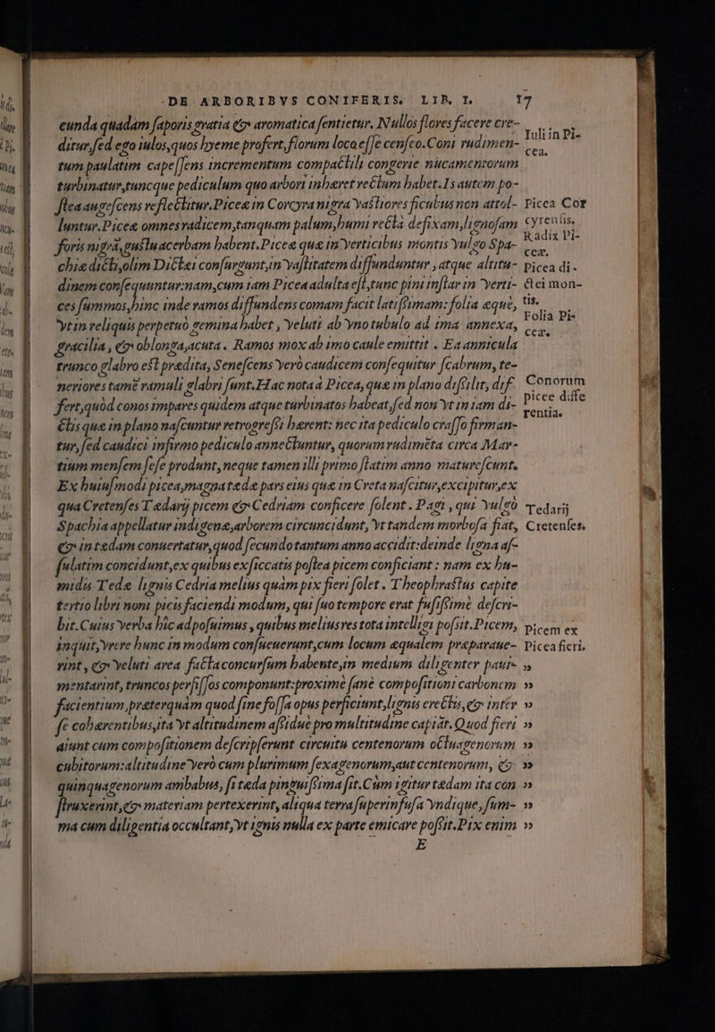 -DE ARBORIBVS CONIFERIS, cunda quadam faporis gratia qt» avomatica fentietur, Nullos flores facere cve- tum paulatim cape [Jens incrementum com paclil congerie nucamenzorum turbinatur,tuncque pediculum quo arbori inberet ve&amp;lnm babet.1s autem po- Jleaausefcens vefleClitur.Piceg m Corcyra nigra Yastiores ficubus non attol- luntur.Picee omnes vradicem,tanquam palum,bumi re&amp;la defixam,lignofam ris nigrá, gustu acerbam babent.Picee que im Yerticibus montis yulgo Spa- chiedicliyolim DiCiei confurgunt,m ya]litatem diffunduntur , atque altita- dinem con[equuntur:mam,cum ram Picea adulta e[ltunc pim m[lar 12 yerti- ces [um am inde vamos diffundens comam facit latiffimam: folia eque, ytin reliquis perpetuo gemina babet , veluti ab 'ynotubulo ad tma annexa, vacilia , eg oblongaicuta. Ramos mox ab imo caule emittit . Ea anntcula trunco ?labro esl predita, Senefcens Yeyó caudicem confequitur [cabrum, te- neriores tame ramuli glabri funt. Hac notaa Picea, qus im plano difetlit, dif. fert quód conos sympares quidem atque tuvbinatos habeat,fed non Yt rn tam di- Clisque in plano nafcuntur vetrogrefei herent: nec ita pediculo cra(To fixman- tur, fed candrci imfurmo pediculo anneGluntur, quorum vudiméta circa Mar- tium menfem [efe produnt, neque tamen illi primo flatim anno: matuve[cunt. Ex buin[modi piceaymagna tede pars eius que rn Creta uafcitur,excipiture x qua Cretenfes T'edarij picem qg-Cedriam conficere (olent . Pagi , qui Yulgo Spachia appellatur indigene,arborern circumcidunt, Yt tandem morbofa fiat, qo intedam conuertatur quod fecundo tantum anno accidit:deimde liena af- fulatim concidunt,ex quibus exficcatis poflea picem conficiant : nam ex bu- mida Tede ligna Cedria melius quàm pix fieu folet. Theophrastus capite £ertio libri mont picis faciendi modum, qui [uo tempore erat fufifime defcri- bit.Cuius Yerba bic adpofutmus , qtibus meliusves tota intelliei pofsit.Picem, jnquit,yrere hunc in modum confueuerunt,cum locum aequalem prsparaue- vint , cox Yeluti area. fa&amp;laconcur[um habentem medium diligenter pati- mentarint, truncos perfi [Jos componunt:proxime (ane compofitiont carboncm facientium praterquam quod fme fof]a opus perficiumt,lrgnis ereGhis, et tntév fc cobaventibusyta'yt altitudinem aftdue pro multitudine capisr. Q uod fieri aiunt cum compofitionem defcrip(erunt circuità centenorum oCluagenorum cnbitorum:altitudine yero cum plurimum f[exagenorumyaut centenorum, q firuxerint, gis materiam pertexerint, aliqua terra fuperinfufa Yndique, fum- ma cum diligentia occultant,Yt ignis nulla ex parte emicare poffit.Pix enim Iuli in Pi- Cea. Ticea Cor cyreu fis, R adix Pi- cez. Picea di - cei mon- tis. Folia Pi- Cea Conorum picee diffe rentia. Tedarij Cretenfes, Dicem ex Picea fieri, 33 33 32 l r$19s
