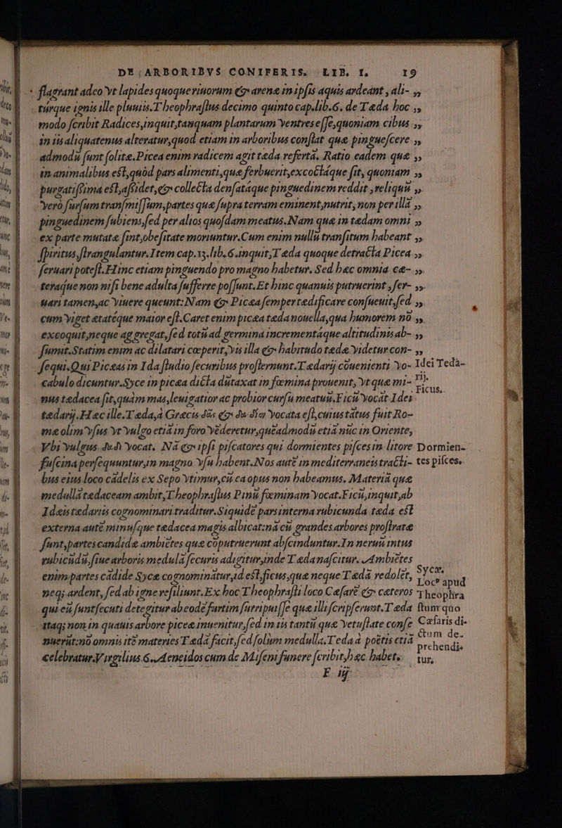 rt. T Z2 1 t2 P iE — — m— DE;ARBORIBVS$ CONIPERIS, LIB. f, I9 modo fcribit Radices,inquit,tasquam plantarum ventres e[Je,quomiam cibus /,, jn is aliquatenus alteratur,quod. etiam im arboribus con[lat qua. pra gue/cere admodi (unt (olite.Prcea enim radicem agit teda referta. Ratio eadem qua. ,, im.animalibus efl,quód pars alimenti que ferbueritexcoGláque fit, quoniam 5, pusgatiffima eft,afeidet eo collecta den[ataque pinguedinem reddit reliqua y, Yerà fav(um tranfmifTum,partes qua fupra tevram eminent nutrit , non pev ilia ,, pinguedinem fubiens,fed per alios quofdam meatus.Nam qua 1n tedam omni » ex parte mutata fintyobe[itate moriuntur.Cum enim nulli tran[itum babeant ,, fpiritus Jlrangulantur.Item cap. 13. b. 6.anquit;T eda quoque detracla Picea.» feruari potefl. FIinc etiam pinguendo pro magno babetur. Sed bec omnia c&amp;- 55. teradte non nifi bene adulta fuffevre po[Junt.Et binc quanuis putrnerint ,fer- ,. «ari tamenyac Yinere queunt: Nam e9* Picea fempertedificave confueuit.fed s. cum Yiget tatéque mator e[1.Caret enim picea tedanouellayqua bumorem n0. y, excoquit,neque ap eregat, fed toti ad germina incrementaque altitudints ab- 5, fimit.Statim emm ac dilatari coeperit, yis illa eg babirndo tede yidetur con- ;, Jfequi-Qui Picsas im Ida [Indio ecuribus proflermunt.T-adarij couenienti 'yo- 1dei Tedà- cabule dicuntur.gyce im picea diCla dutaxat 1m foemina prouenit, Yt que mi- ici nus tedacea fit,quam mas,leuigatior ac probior curfu meatuu.F ici. Yocat Ides S tedarij.H«c ille-.Tedad Graci dis qo 42 día yocata efl cuiustatus fuit to- ma olimv[(us yt vulgo etia 1n foro yedereturqutad modi etta nuc in Oriente, Vbi vulgus. 44V yocat. Na qv ipfi pictores qui dormientes pifces im. litore Dormien- fefcinaperfequunturam magno Y[a babent.Nos aute 1a mediterranentratli- tes pilcess. bus eius loco cádelis ex Sepo Vtimur,cii caopus non babeamus. Materia qu medallatedaceam ambit, T. beophra[ius Pini feminam Yocat.Ficu,imquitab Adis tedaris commomimari traditur.Siquide pars interna rabicunda tada e$t externa aute minu/que tedacea magis albicat:ma cu grandes arbores pro[Iraree fntypartes candide ambietes que coputruerumt abfcinduntur.In nerau itus eubicudu. fiue avboris medula fecuris adigiturynde T &amp;danafcinu. Ambietes | enimpartes cádide Sycs&amp; co nominatur, d est ficus, que neque T.edá redolet, Man ud neq; ardent, fed ab igne vefiliunt. Ex boc Theophrafli loco Ce[ar£ et ceteros y heo Sfr 3 qui eit funtfecuti detepitur abeode fartim fatripa(e qua ili fcripferust.T eda tum quo 1taqi non tn quatuis arbore pice imuenitur fed in 14 tanti que Yetu[late confe Czfaris di- nuerüt:no omniu it? materies Fedà facit ed [olim medulla.Tedaa po&amp;tis età ie a ES 2