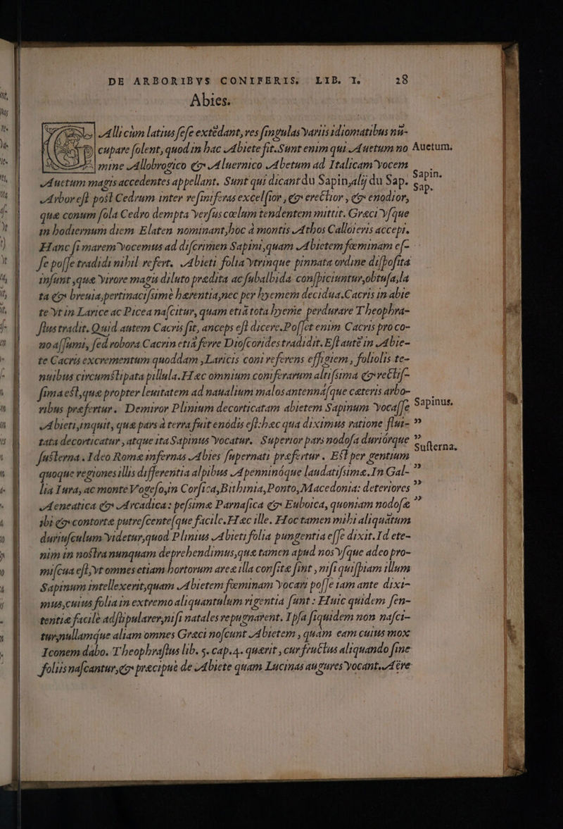 YU MEER T — 6r RERO 2 ee acta cati es dd DE ARBORIBYS CONIFERIS. LIB. T. 18 Abies. Allicim latius fefe extedant, ves fingulas yaris idiomatibus na- c pr dy yd Z7 4| mme -Allobrogico qe JA lnernico JA betum ad Italicam vocem vAibor efl post Cedrum inter vefmifevas excel[ior , eg ere£lior , eg» enodior, ap. in bodieynum diem. Elatem nominantyhoc d montis /Atbos Callorevis accept. infunt que Yrrore magis diluto praedita ac fubalbida con[biciunturyobtu[a;la ta (o breuiaspertimacifsimé barentiaynec per hyemem decidua.Cacris in abie te yt in Larice ac Picea na(citur, quam etiátota hyeme perdurare T heophra- flus tradit. Quid autem Cacris fit, anceps efl diceve.Po[let enim Cacris pro co- zoa[[umi, fed robora Cacrin etia ferre Diofcorides tradidit. Efl aut in J4bie- te Cacris excrementum quoddam ,Laricts coni veferens effigiem , folrolis te- nuibus cincumstipata pillula.H ec omnium coniferarum altifsima eg vectif- fima estque propter leuitatem ad naualium malosantenna[que ceteris arbo- vibus prefertur. Demivor Plinium decorticatam abietem Sapinum oca[]e Abietignquit, qua pars à terra fuit enódis e[l:bec qua diximus ratione flm- tat decorticatur , atque ita Sapimus Yocatur. | Superior pars nodofa duriórque fusterna . Ideo Roma imfernas /Abies [npernati prefertur . ESI per gentium quoque regiones illis diffevenitia al, pibus J4pennimóque landatifsime.In Gal- lia Ira, ac monte Vogefoyrm Corfi ^4,Bithinia,Ponto, Macedonia: deteviores JAeneatica qo Jd rcadica: pefsime Parna[ica e Euboica, quoniam nodofa abi fov contorte putrefcente(que facile. FLec ille. Hoc tamen mili aliquatum duriufculum videtur quod Plinius /Abieti folia pungentia e[[e dixit. Id ete- nim in noslranumquam deprehendimus qua tamen apud nos'yfque adeo pro- Sapimum imtellexeritquam JAbietem feminam Yocant po[]e am ante dixt- tenti&amp; facile adJürpularer,mi natales vepuenarent, Ipfa fiquidem non nafci- tuvnullamdue aliam omnes Graci nofcunt 74 bietem , quam eam cums mox Sapinus, 3 32 Sufterna. A» p