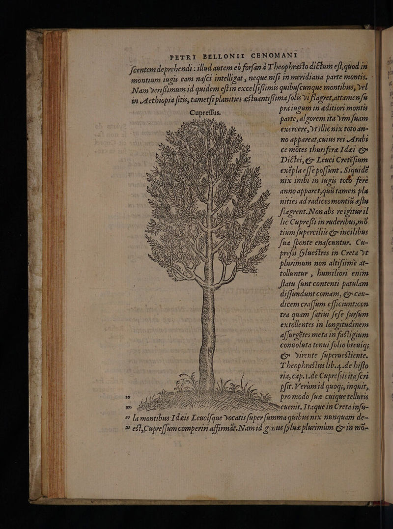 féentem deprehendi ; illud autem eà forfan à Theophrasto dictum ef. quod m montium 1gis eam nafci intellipat , neque nfi m meridiana parte montis, «| Nam yeniumum 1d quidem ef] im excelfifemis quibufcunque montibus, yel 12 J Aethiopia fitis, tamet[i planities esluanti[éima foli p f lagret.attamen fia praiugum in editiori montis parte, alorem tta ym [uam | j/ T exerceret illicnix toto an- ZA, D   JA / A : 220 appareat ctus vet Arabi QU PA ce motes thurifere Ide: | Ditlet, e? Leuci Crete[ium (f exepla e[[e po[Tunt . Siquide x SS SN ! 5 NS / 4 PEE i p nix inibi 1n i915 toto fere WNS NEAR * USD UOS Q)A p qnoapparet,qustamen pla PZN £N 3   : ji Ww EE QUAL Eo, mties ad radicesmontiu eJlu à € Pp SEP í i TZ M : LN] r | CEN, OSEE eu E PAM QUE .— flagrent.Non abs vesgituril.— SENE AT E / ! fe  C 2 d b 7^. SA ONE QE uf ic Cupreftt in vudeyibusmo. | CEA LEON APA tum fuperciliis eo imeilibus — | rA fua [ponte enafcuntur. Czu- A prefst oluestres 15. Creta yt plurimum non altifstme at- tolluntur , bumiliori enim Jlatu [unt contenti patulam drffandunt comam, 9: cati- dicem cra[[Jum efficiunt:con tra quam fati fefe furfum extollentes 1n longitudinem a[Jurgetes meta in fastigium contuoluta tenui folio breuiqs go Ymrente. fuperucsliente. T beophraslus lib. 4 .de bifto ria, cap..de Cupre[sis ita fcri Lit. Verumid quoq;, Inquit, Ce promedo fue cuique telluris 2 77 eunt. Itaque In Creta rmfu- DEC * LI 1 L » efl, Cupre[[um comperi affirmát.INam id gnus plu plurimum Qe rm ma- -——-— cap coc RR m m E T