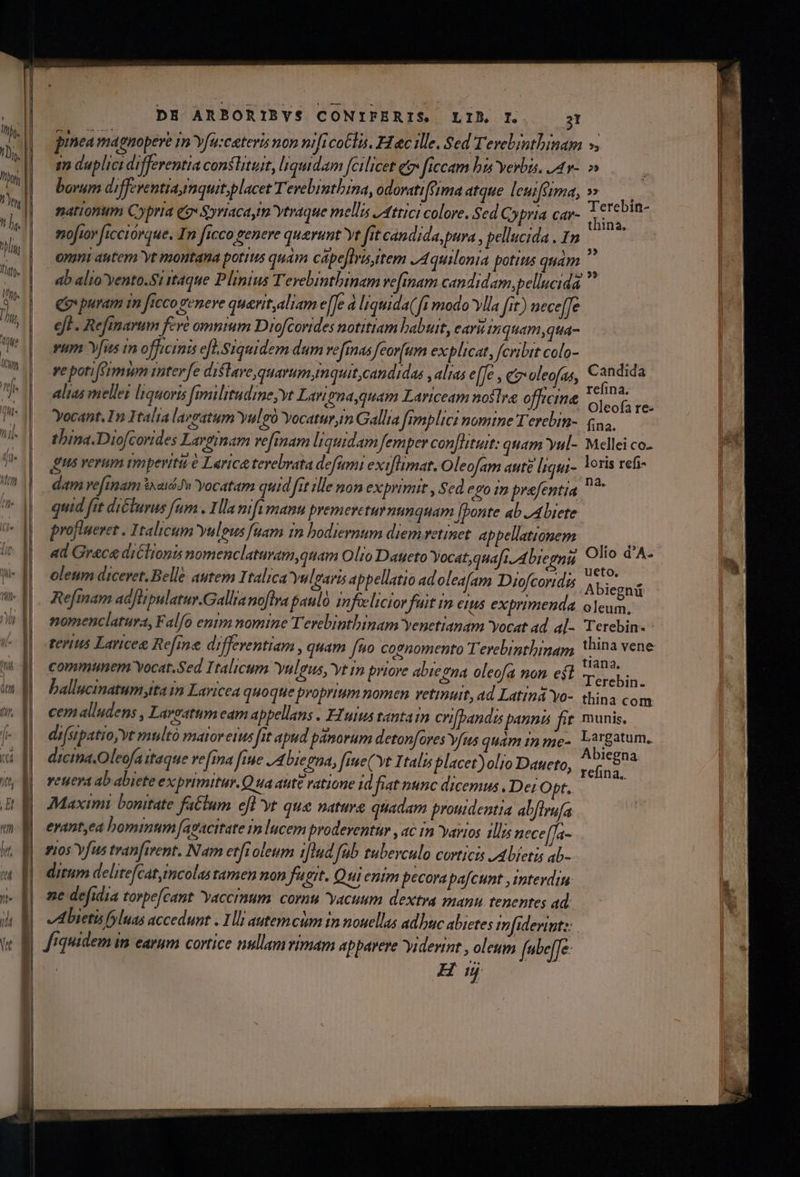 -— E «7 7 — —— ———— lI — - La E hs  — V7 em n CES 77a I S m map rl al qe e EN QU T RU Qa — aae s rris cae ERR ga ge em € DE ARBORIBYVS CONIPERIS. LIA I. E pinea mapnopere m Yfa:cateris non nifi coelis. H &amp;c ille. Sed T evebnthinam - 2 duplici differentia conslituit, liquidam fcilicet et» ficcam bz verba. dr. borum diffeventia,mquit,placet Tevebrnthina, odovatiffima atque. leuiféima, M cni nationum Cypria (o $yriacaym Ytraque mellis Attici colore, Sed y pria C4r- Tine ud noftor ficciórque. Tn ficco genere querunt yt fit candida, pura , pellucida no ongnt autem yt montana porius quam cápe[lyisitem JA quilonia potitis quam | ab alio yento.Si taque Plinius Terebintbinam vefrmam candidam, pellucida Qo puram im ficco geneve queritaliam e[Je à liquida(ft modo Ylla fit) neceffe eft . Refimavum fevé omnim Diofcorides notitiam babuit, ear in quam ,qa- vum Y[us in officinis el. Siquidem dum ve[inas Jfeorfum explicat, fcribit colo- re potifermum mterfe dislave quarum, mquit,candidas , alias e[[e , co oleofas, ied alias melle; liquoris fimilitudine;vt Lanna,quam Lartceam noflra officine Ages 6rd Yocant, In Italia laveatum Yulgà Yocaturm Gallia [mmplici nomine Terebin-. 44. thina.Diofcorides Lavginam ve[inam liquidam femper con[lituit: quam yul- M ellei co. us verum imperiti &amp; Larica tevebrata defumi exiflimat. Oleofam auté Irgut-  oris refi- dam ve[imam ixaióJw Yocatam quid fit ille non exprimit , Sed ego tm prefentia quid fit diélurus fum . Hla nifi manu premeretur nunquam [Ponte ab JAbiete proflueret . Italicum Yuleus faam in bodiernum diem vetinet appellationem — i ad Grace diclions nomenclaturam,quam Olio Daueto Yocat, quafi Abiegnu on d A- oleum diceret. Belle autem Italica Yulgaris appellatio ad olealam Diofcoridis P iegs Refmam acJhpulatur.Gallianoflra paulo infelicior fuit in eius exprimenda. oleum, nomenclatura, Falfo entm nomtne Terebinthinam Yenetianam Yocat ad a[- Terebin- Candida | : d « . t1ana. communem Yocat.Sed Italicum vulgus, vt n priore abiegna oleofa non est Terebin. ballucinatumytta 12 Laricea quoque proprium nomen vetintuit, ad Latind Yo-. thina com cem alludens , Larzatum eam appellans . FZuius tantain cri[bandi panni fit munis. Iegna. d | | A drcina.Oleofa itaque vefina ine JA biegna, [iue( vt Itali placet)olio Daueto, v.c. vetera ab abiete exprimitur. Qua aute ratione id fiat nunc dicemus , Dei Opt. Maximi bonitate fa&amp;lum efl 'yt que nature quadam proudentia abflrnfa erantea bominum fagacitate 1m lucem prodeventur , ac 1n 'yarios illis nece[fa- 7105 Yfus tranfivent. Nam etfioleum i[lud fab tuberculo corticis JAbietis ab- ditum delitefcat,tmcolas ramen non fugit. Qui enim pecora pafcunt ,imterdin ne defidia torpefcant yaccrnum cornu 'yacuum dextra manu tenentes ad ALietis fsluas accedunt . 1l autemctm in nouellas adbuc abietes mfiderintz: fiquidem in earum cortice nullam rimam apparere 'yiderint , oleum febeffe H p