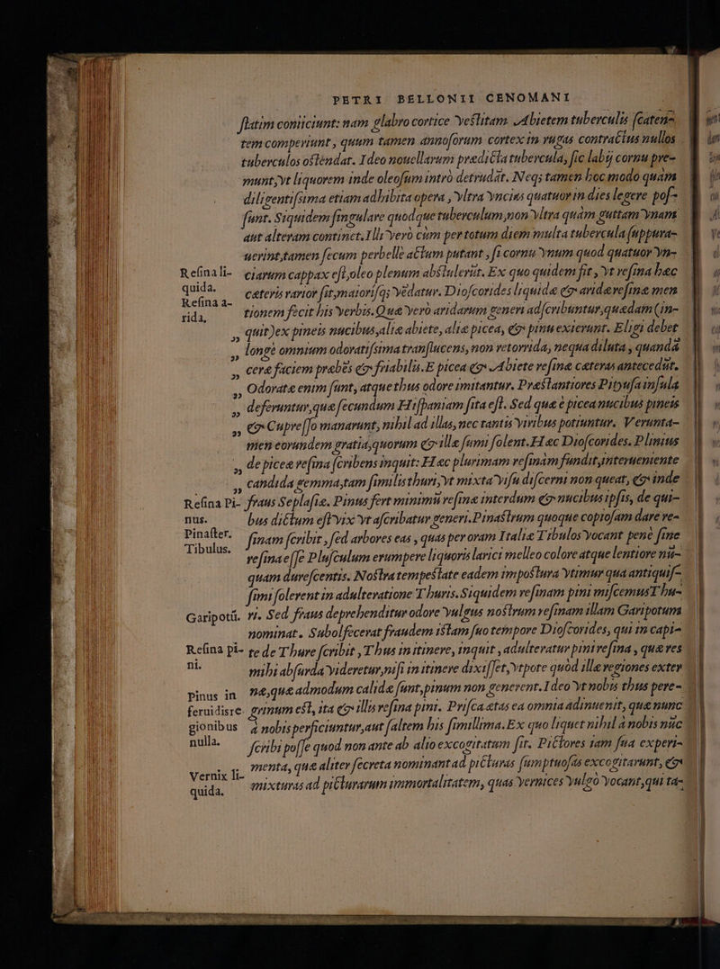 flatim coneiumt: nam labro cortice Yestitam. 4 bietem tuberculi fcaten- tem compeviunt , quum tamen 4nuno Ortum cortex t vu pas contractus nullos tüberculos osténdat. Ideo noucllarum praditla tubevcula, [ic labsj cornu pve- munt; vt liquorem inde oleofum intró detrudét. Neqi tamen bocmodo quam dilieenti[sima ettam adbibita opera , vltra Yncins quatuor im dies legere pof fent. Siquidem fmmgulare quodque taberculum non Vitra quam guttam ynam aut alteram continct. Tli yero cum pertotum diem multa tubercula feppura- gerint,tamen fecum perbelle atum putant , fi cornu Ynum quod quatuor yn- Refinali- cjeyums cappax eftyoleo plenum abflulerit. Ex quo quidem fit , vt vefina bec dude ,, Ceteris rarior fitm aiori/qi Yedatur. Diofcorides liquida eg aridevefina men ug tionem fecit bis Yerbis.Q ua veró aridarum genen ad[cribuntur quedam (in- ,, quit)ex pneus naucibus,alie abiete, alie picea, e» prm exierant. Eligi debet ,, longt omnium odovatifsima tran[Iucens, non vetornida, nequa diluta , quandá ,, cera faciem prabes qi feiabilis. E picea £7 Abiete vefime cetevas antecedur. Odorat« enim fant, atque thus odore imitantur. Praslantiores Pityufainjula ,, deferuntur que fecun dum Hi[paniam fita efl. Sed qua € pcea nucibus pimets » C Cupre [Jo manarunt, nibil ad illas, nec tantis yivibus pottumtur.. Verunta- mien eorundem gratia,quorum Q7 ille fami folent.F ec Diofcorides. Plinius ,, de picea ve(ma (cribens inquit: HL ec plurimam vefmam fünditynteruemente (ooo, candida gemmastam fimilis thuri;yt mixta vifa difcermi non queat, e» inde Re(ina Pi- fraus Seplafie. Pins fert minimu re[me interdum (nucibus ipfis, de qui- nus. bus di&amp;lum efl'vix yt afcribatur generi.Pinaslrum quoque coprofam dare ve- iin finam fcribit , fed arbores eas , quas per oram 1 talie Tibulos'Yocant pene fine * vefinae(Je Plufculum erumpere liquoris lavict melleo colore atque lentiore nu- quam durefcentis. Nostra tempesiate eadem tmposlura ytimur qua antiqui[- fimi folevent im adultevatione T buris.Siquidem veinam pini mifcemusT hu- Garipotá. 7/. Sed fraus deprehenditur odore vulgus nosirum refiam tllam Garipotum . mominat. Subolfecevat fraudem i$lam [uo tempore Diofcorides, qui m capi e(ina pi- re de T'hure fcribit , T hus initinere, inquit , adultevatur prm refima , qu ves zi mibi ab(urda Yidereturmifi in itineve dixiffet,vtpore quód ille vegiones exte pinus im 74,44 admodum calida fant,pinum non generent. 1deo yt nobis thus pere - 22 gionibus | pobrsperficiuntur,aut (altem bis fimillima.Ex quo liquet nihil a nobis nuc nulla. fcribi po[[e quod non ante ab alio excogitatum fit. PiCloves am fua experi- menta, qua aliter fecreta nominant ad pi Claras [umptuofas excogitavunt, eo Vernixli- . i 2 amixturas ad pi&amp;lurarum immortalitatem, quas Yernices Yuleó Yocantqui ta- quida.