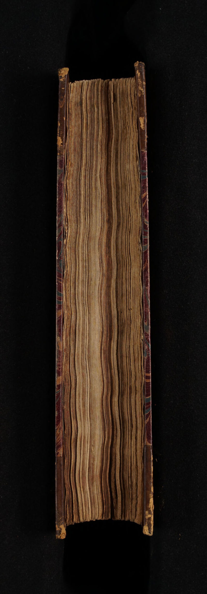 Eutr s Rees ama CASERARET-