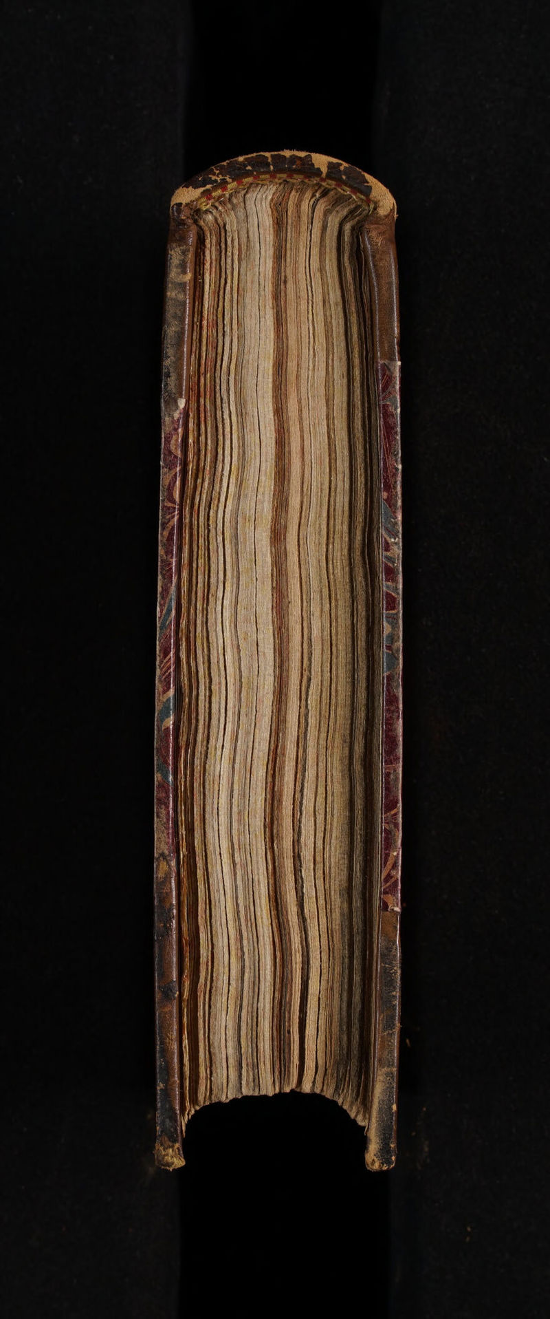 No text description is available for this image