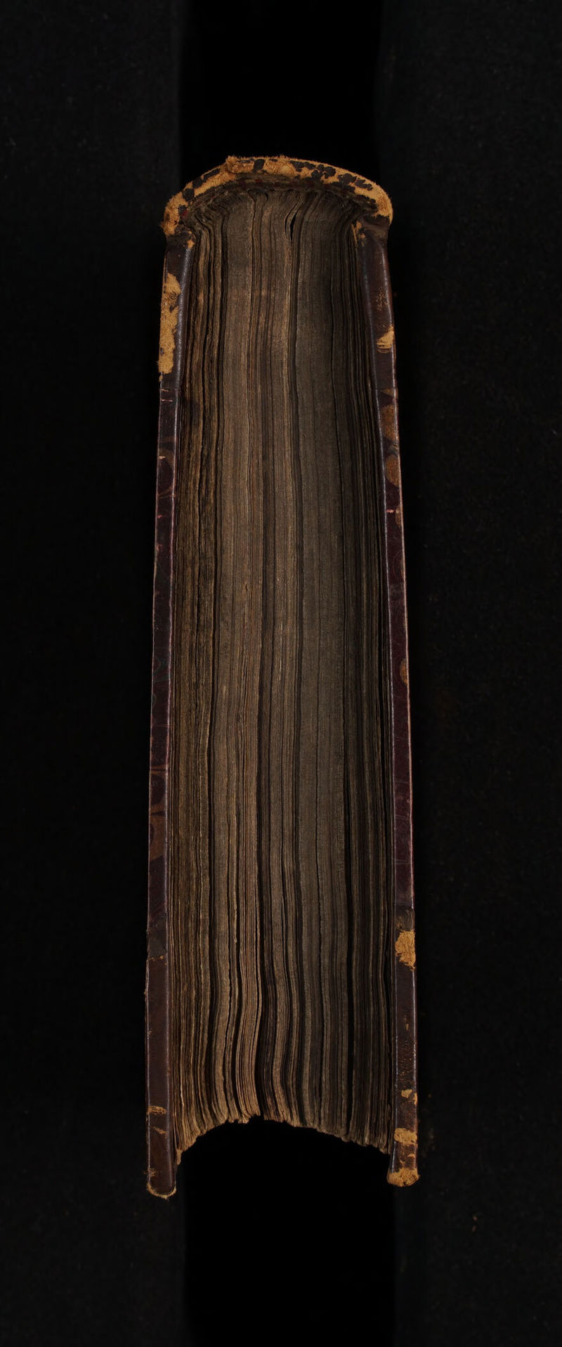 No text description is available for this image