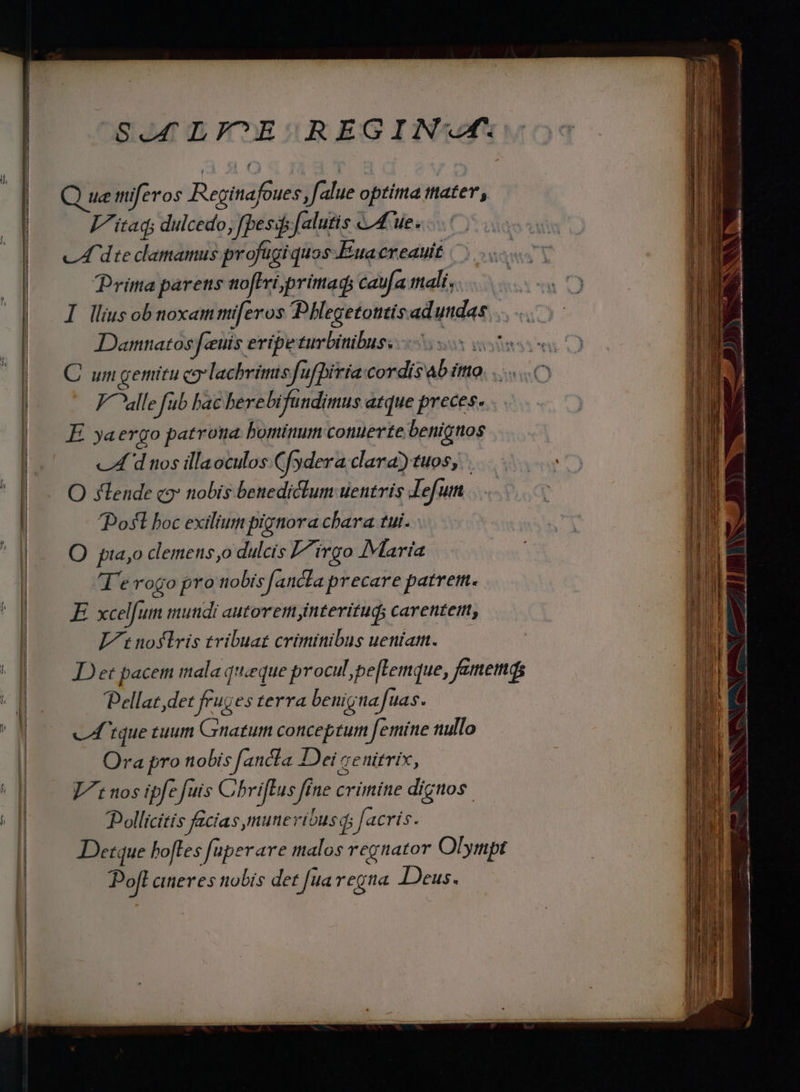| Sof LYI^E REGINwV. ue tmiferos Reginafoues ,falue optima iater, c4 dte damamus profugiquos-Euacreauit Prita parens no[iviprimads caufa mali, | I llius ob noxa miferos Dhlegetotitis ad undas Damnatos feuis eripe turbinibus; A C um gemitu co-lachrimis Jfufpiria cordis'4b ittto. . .. J^ alle fub bac bere bifundimus atque preces. E yaergo patrona bominum conuerte benigttos cA d nos illaoculos Cfydera clara) tuos; O slende c: nobis benediclum uentris Jefum Pofl boc exilium pignora chara tui. : O pta,o clemens,o dulcis L^irgo María T'e rogo pro nobis fancla precare patrem. E xcelfum mundi autorem interitud; carentem, It noslris tribuat criminibus ueniam. JD et pacem mala queque procul, pe[lemque, fememds Dellat,det feuges terra benignafuas. crue tuum Gratum conceptum (femine nullo Ora pro nobis [ancta Dei cenitrix, Dollicitis ficias munerióus qs facris. Detque bofles [uperare malos regnator Olympt Poft aneres nobis det [ua regna Deus. — —  Es -— ir A es v ciet ge te T a mu  -—. —À - € Eu - T. - A m; MIA cr — : e