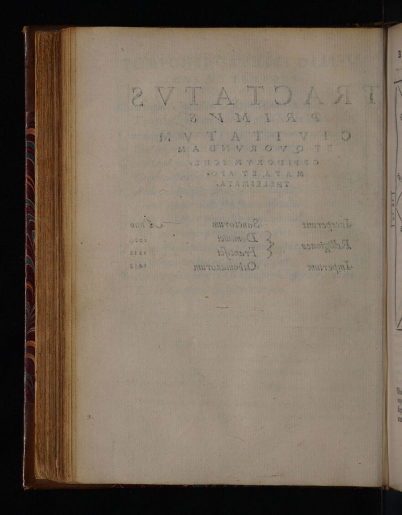 5———AAA—R E E