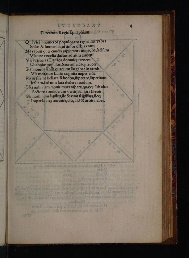 5 $4 T4 ? r^ F ,» o ili €. 4E s À A 2 A 1 Turcarum Regis Epitaphiutin i-i: / Solus &amp; immenti qui timor orbís eram, Me rapuít quae cuncta rapit mors improba/fed fum Virtute excelía du&amp;us ad aftra tamen Vici vi&amp;ores Danáàos,domuiq; feroces ND Chaoní:e populos, Sauromatasq; truces: Pannonius fenfit quantum furgebat ín armís  Vis meajqux Latío cognitanupererat. ^. Meris fuerat bellare Rhodon;füperare fuperbatn ^. Iráliam.fed non fata dedere modum. Pe&amp;ore condideram vertít, &amp; hora breuis. | Sic homínum fapftus;fic &amp; eunt ftígtiata ficcg : * Impería;atqg aurum quicquid &amp; orbis habet. ^