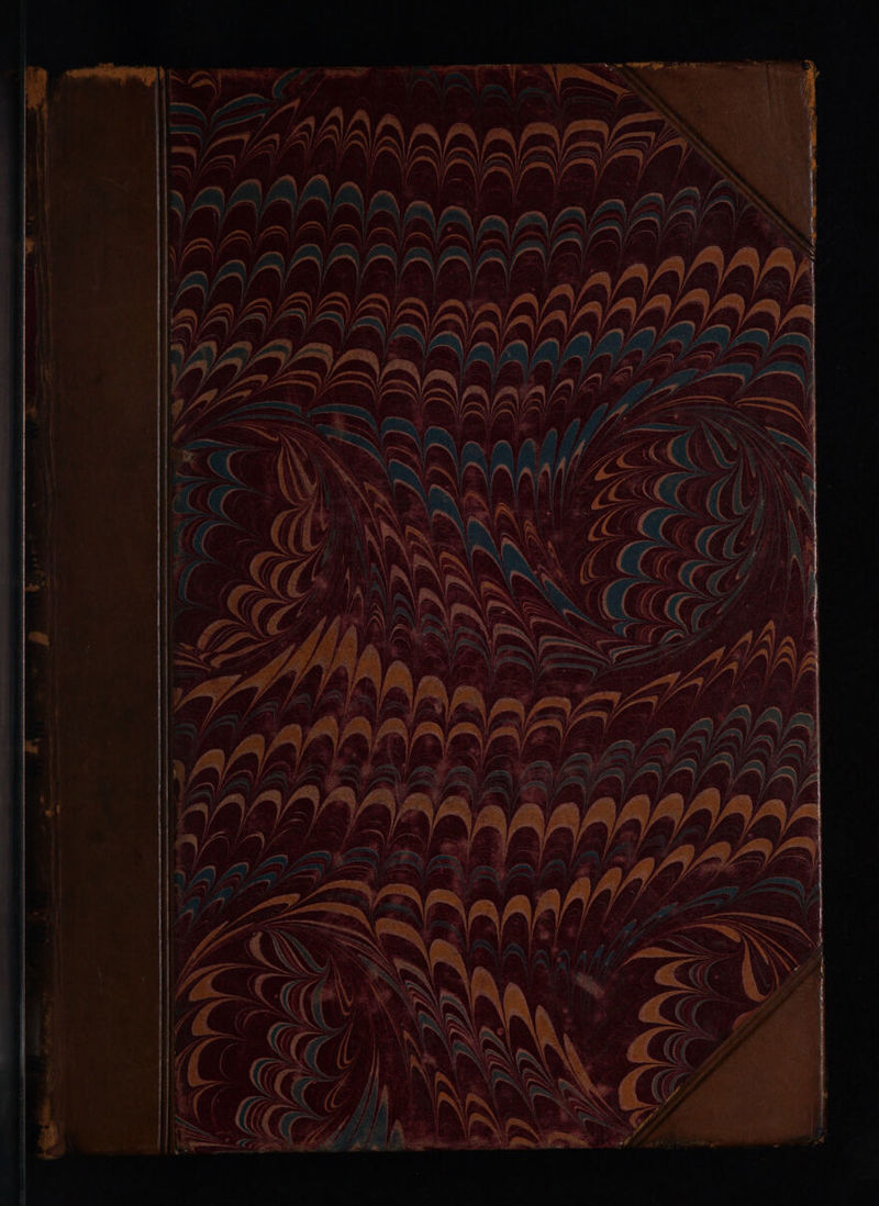 No text description is available for this image