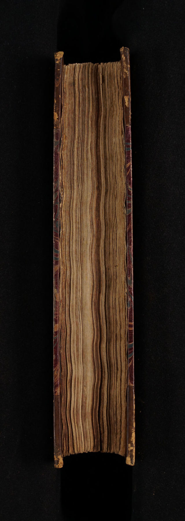 No text description is available for this image