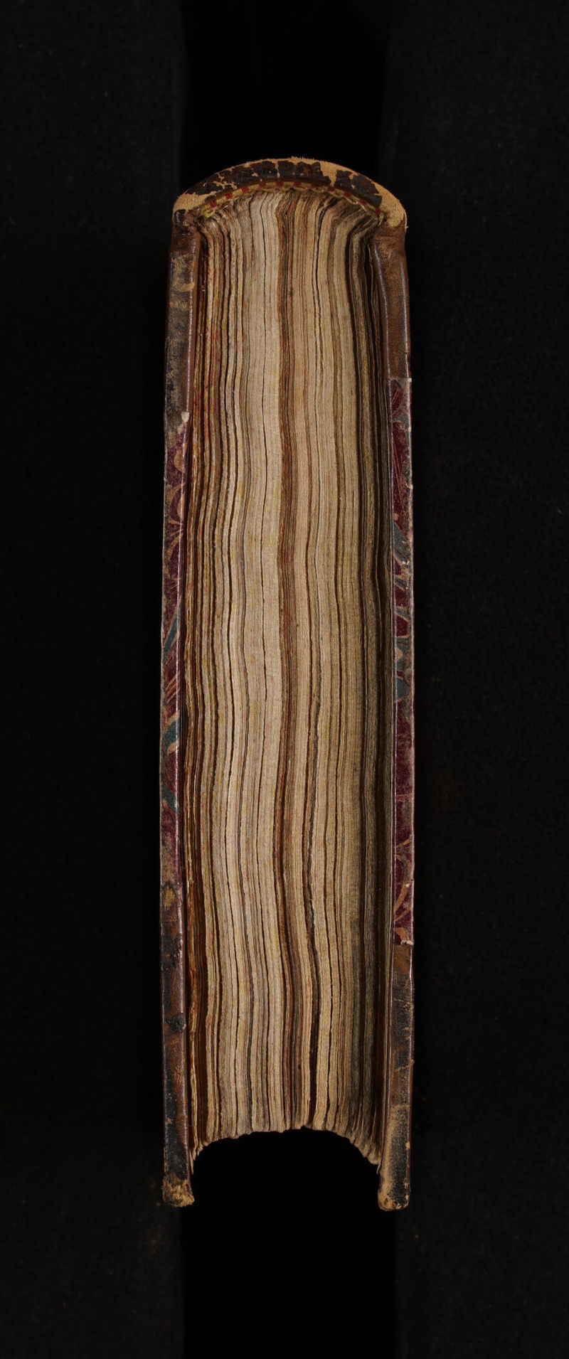 No text description is available for this image