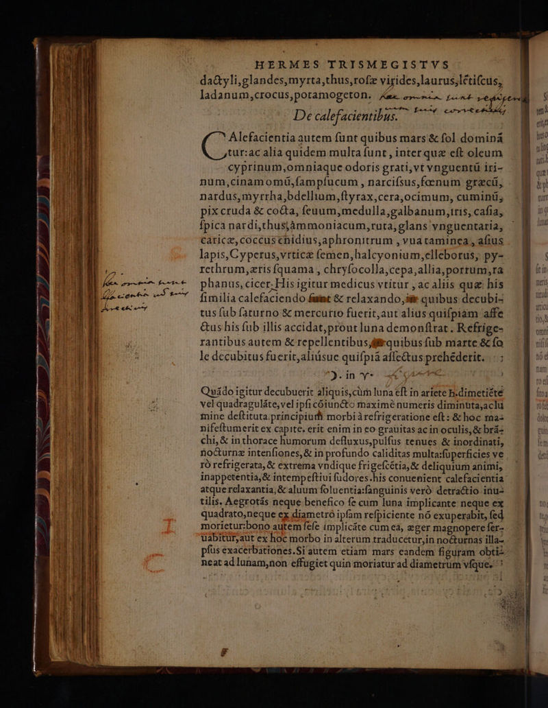 * Alefacientia autem funt quibus mars'&amp; fol dominá tur:ac alia quidem multa funt , interque cft oleum cyprinum,omniaque odoris grati,vt vnguentü iri- num,cinamomü,fampfucum , narcifsus,foenum greci, - nardus, myrrha,bdellium,ftyrax,cera,ocimum, cuminü; pix cruda &amp; coda, feuum,medulla,galbanum,tris, cafia, Ípica nardi,thusjámmoniacum,ruta, glans vnguentaria, carica, coccuscnidius,aphronitrum , vua taminea , afius . lapis, Cyperus,vrticz (emen,halcyonium;elleborus, py- rethrum,zris íquama , chryfocolla,cepa;allia,portum,ra - phanus, cicer; His igitur medicus vtitur , ac aliis qua his fimilia calefaciendo simt &amp; relaxando,ss quibus decubi- tus fub faturno &amp; mercurio fuerit,aut alius quifpiam affe Gus his fub illis accidat;prout luna demonftrat . Refrigc- rantibus autem &amp; repellentibuséfrquibus fub marte &amp; fo le decubitus fuerit,aliüsue quifpià affe&amp;tus prehedetit...- : dps 7).dn y*o A (Aere | | Qnádo igitur decubuerit aliquis,cüm luna eft in ariete h.dimetiété vel quadraguláte, vel ipficóiuncto maxime numeris diminutajaclu iine deftituta.príncipiudt morbiàrefrigeratione eft: &amp; hoc raa: nifeftumerit ex capite. erit enim in eo grauitas ac in oculis, &amp; brá- chi, &amp; inthorace humorum defluxus,pulfus tenues &amp; inordinati, . nocurnz intenfiones,&amp; in profundo caliditas multa:fuperficies ve . rÓ refrigerata, &amp; extrema vndique frigefcétia, &amp; deliquium animi, inappetentia,&amp; intempeftiui füdores.his conuenient calefacientia | atque relaxantia; &amp; aluum foluentia:fanguinis veró detra&amp;tio inu tilis. Aegrotás neque benefico fe cum luna implicante neque ex quadrato;neque ex diametró ipfam refpiciente nó exuperabit, fed morietur:bono autem fefe implicáte cum ea, egermagnoperefer- | uabitur,aut ex hoc morbo in alterüm traducetur,in nocturnas illa- - ' píus exacerbationes.Si'autem etiam mars eandem figuram obti neat ad lunam,non effugiet quin moriatur ad diametrum vfque. ^ D *