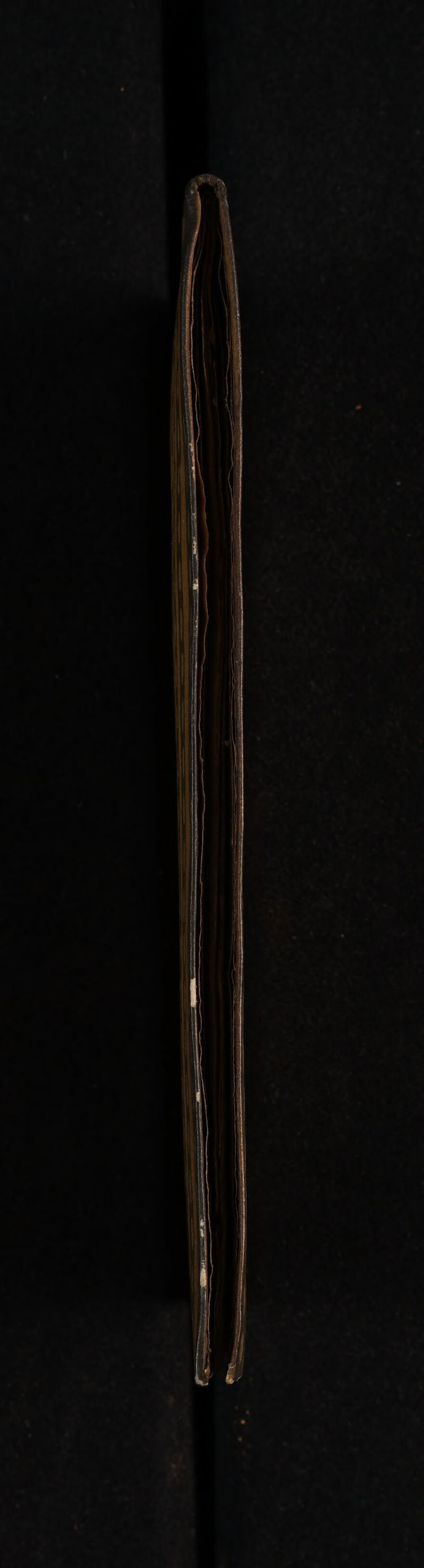 No text description is available for this image