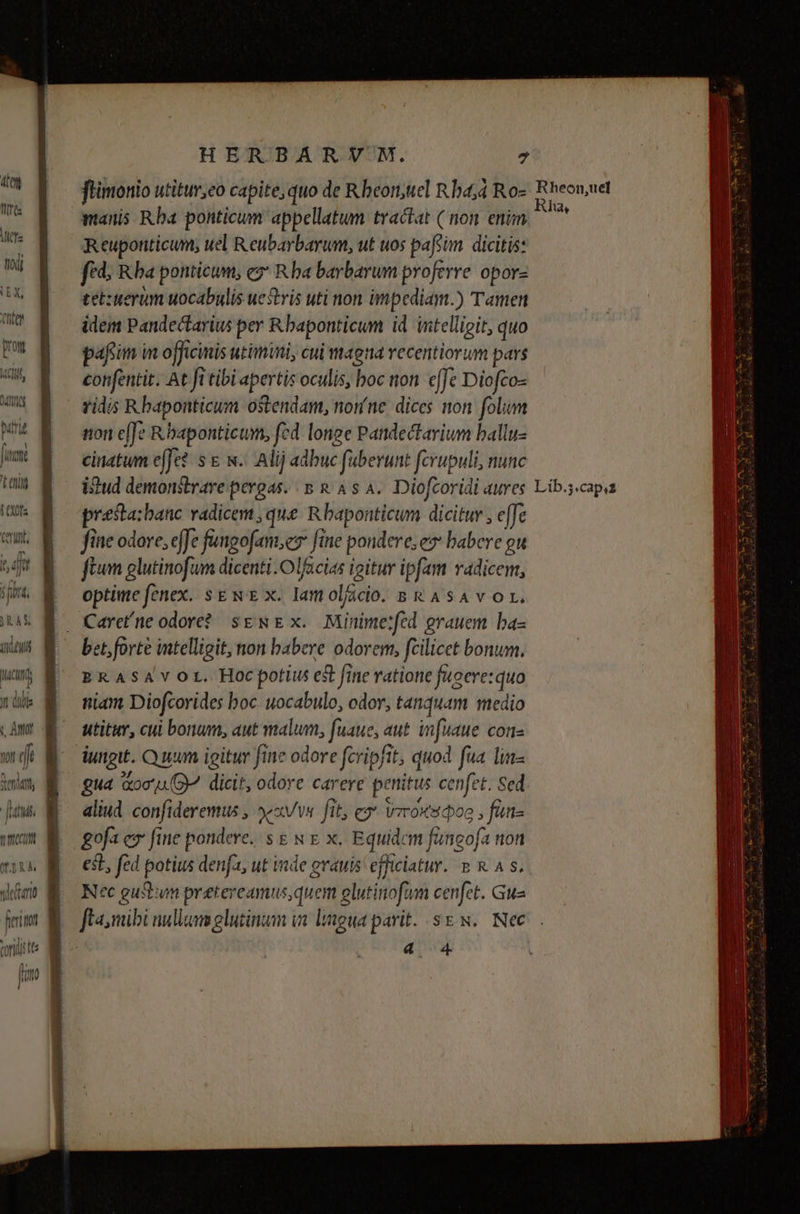 4n [Ife Mitte t'odi (EX, Cte d SN Dant bitu m )RAS VUL MACHT Tul : Yt Gilda feriitol HERBARV M. 7 ftimonio utitur,eo capite, quo de R beort;uiel R bad Ro- manis. Rba ponticum appellatum tractat ( non enim Reuponticum;, uel Reubarbarum, ut uos pafsim. dicitis: fed, Rba ponticum; ez R ba barbarum proferre. oporz tetzuerum uocabulis uestris uti non impediam.) Tamen idem Pandectarius per R baponticum id intelligit, quo paf in officinis utimini, cui magna recentiorum pars confentit. At ft tibi apertis oculis, boc non. efe Diofco- vidis R bapouticum ostendam, nonne dices non folam non c[Je Rbaponticum, fed longe Pandectarium ballu- cinatum e(Jet s &amp; s. Alij adbuc fubevunt fcrupuli, nunc presta: banc vadicem , que. R baponticum dicitur , effe fine odore, efJe fangofant;ez fine pondere; es babere gu ftum glutinofum dicenti.Olfacias igitur ipfam radicem, optime fenex. sg wx. Iamoljcio. BRASAvOL. Caretne odore? sEwE x. Minime:fed grauem ba- bet, forte intelligit, non babere odorem, fcilicet bonum. BRASAVY OL. Hoc potius et fine ratione ficere: quo niam Diofcorides boc uocabulo, odor, tanquam medio utitur, cui bonum, aut malum, fuaue, aut infuaue cone ungtt. C num ioitur fine odore fcripfit, quod fua lin- gua aoc (G4 dicit, odore carere penitus cenfet. Sed aliud confideremus , »exvvs fit; ex U7rOXsdoe fan- ofa ev fine pondere. s &amp; s E x. Equidem füncofa non est, fed potius denfa, ut inde grauis efficiatur. m &amp; A s. Nec gustum pretereamusquem elutinofum cenfet. Gua 4 4 Rheon,uel ha,