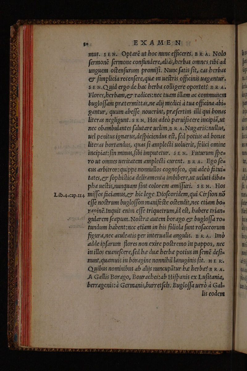 ius. s E S. Optaré ut boc timc efficeres. 2 &amp; à. Nolo fermoné fermone confandere;alias,berbas omnes tibi ad unguem ostenfurum promifi. Nuc fatis fit, cas berbas e fimplicia vecenfere;que m uestris officinis uagantur. s.&amp; N.Q uid ergo de bac berba colligere oportet? sx. 4. Flores,berbansez radices:nec tuam illam ac communem bucloffam pretermittas,ne alij medici à tua officina abis gantur, quum abe[Je nouerint, prefertim illi qui bonas literas negligunt. s &amp; s, Hos adeo paruifacere incipia;ut nec obambulantes falutare uelim.n s. A. Nugaris: nullus, uel penitus ignarus, defbiciendus est, fed potius ad bonas literas bortandus, quas ft amplecti uoluerit, felici omine incipiat: fin minus, fibi imputetur. se s. Futurum fbes To ut omues ueritatem amplecti curent. 8 &amp; A. Ego fe« cus arbitror: quippe nonnullos cognofco, qui adeo fatuis tates,e» fopbistica deliramenta imbibere,ut ucluti dibas pha ueftisynunquam fint colorem «mi[furi. | s &amp; w. Hos viffos faciamus;es bic lege Diofcoridem,qui Cirfion no effe no£trum buglofJon manifeste ostendit,nec etiam bos gularem fcapum.Nostra autcm borago ez bueloffa vos figura, nec aculeatis per interualla angulis. m &amp;. A. 1mó adde ipfarum flores non exire postremo in pappos, nec in illos enanefcere;fed be due berbe potius m feme defi« nunt, quamuis wn boragine nonnibil lanuginis fit. €. &amp;. Quibus nominibus ab alijs nuncupatur ba beybe? n x. a. A Gallis Borago, Bouracbes:ab Hifpanis ex Lufitania, berragenis:à Germanis,burretfcl. BuglofJa uerà 4 Gal- lis codem