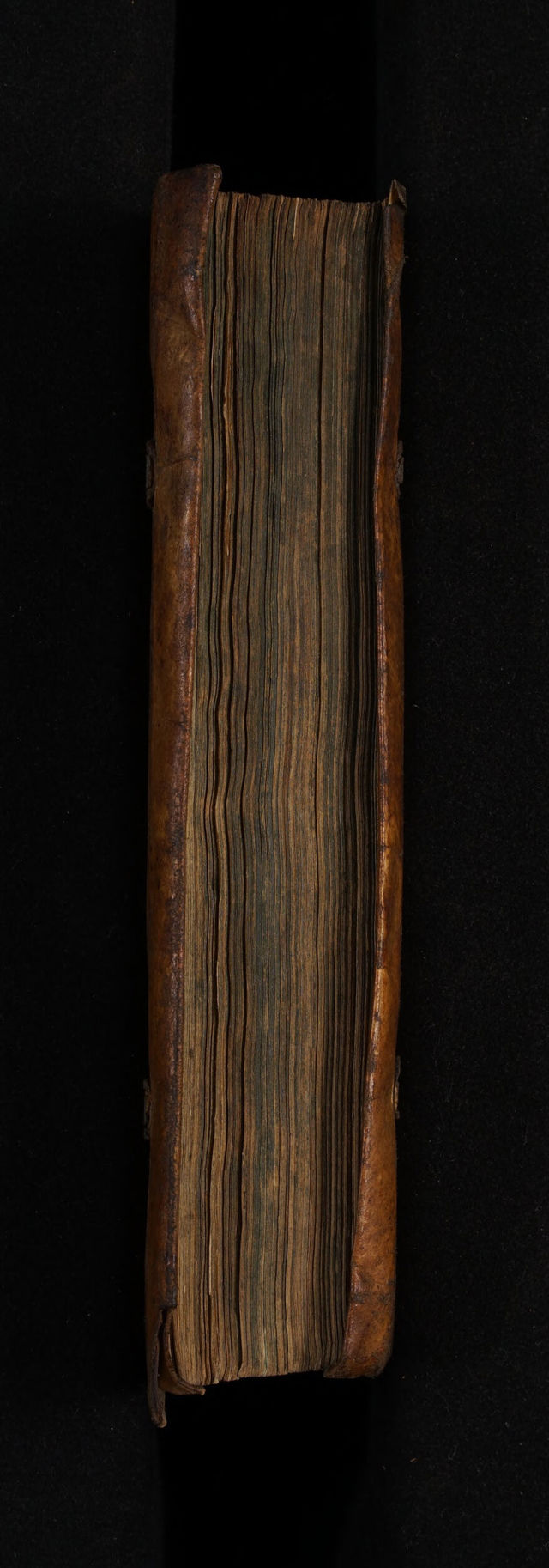digitised image 3