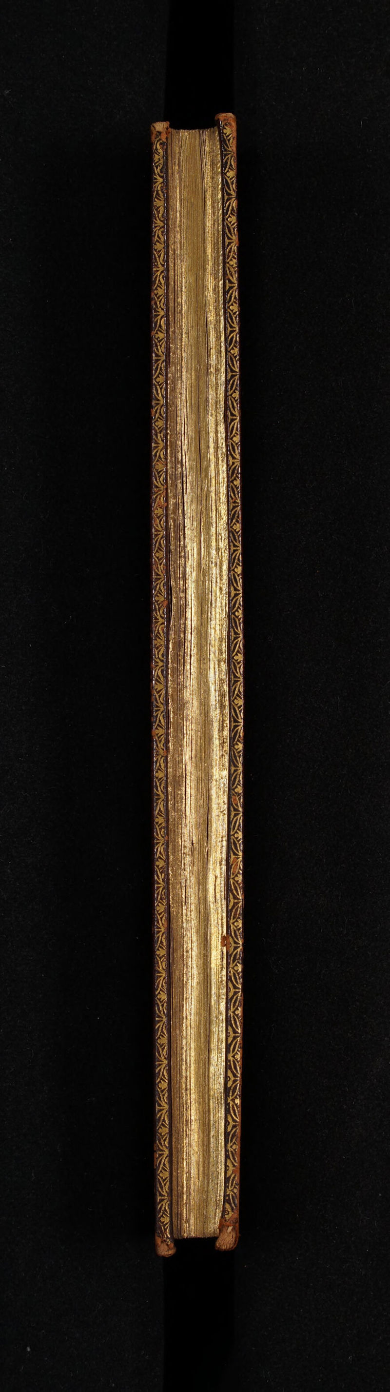 No text description is available for this image