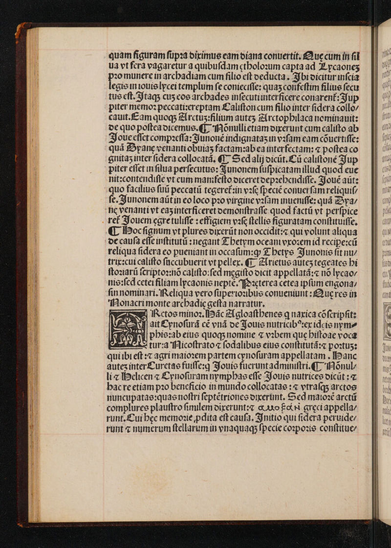 quam figuram füpza oiyimus eam oíana conuertit. £ ue cum in fid U3 vt fcra vagaretur a quibufdam ctbolo:um capta ad 2. ycaones p:o munere in arcbadiam cum filio eft oeducta . SJ bi oicitur infícía legisiniouislycei templum fe coniecifle: quas cornfeffim filiue fecu tue eft. Sftaq cus coe arcbades infecutiinterficere conarent:3fup piter memoz peccatizereptam Z'alifton cum filio inter fidera collo/ cauit.f£am quoqs Ziírctus:filium autes g(rctopbilaca neminauit: oe quopofteaoicemus. (T. ffaonullietiamoixerunt cum califto ab Sjouecfict compaeffía: Siunoné indignatasin vzfam eam cóuertiffe: quá fByane venantiobuia5 factam:ab ea interfectam: « poftea co gnita5 inter fidera collocatá, €T; Sed alij oicüt.i£ü califtoné Sfup nit:contendifle vt cum manifefto oiceretoepzebcndiffe, 3joué aüt: uo faciliue fuü peccatii tegeret:in vzfc fpecié conuerfam reliquif/ e.Sjunonemaütin eoloco pz0 virgitie v2fam inucniffe: quá Ziya/ ne venanti vt ea5interficeret oemonftraffe: quod factü vt perfpice (L IDocfignum vt plures vixerit non occídit:« qui volunt aliqua reliqua fidera eo pueniant in occafüm:g € betye 3funonie ftt uz trix:cul califto füccubuerit vt pellex. €7, Zirietue autes tegeatee bi fto:arü (criptosnó califto:fed mggifto vicit appellatá: nó lycaor nio:fed ceteifiliam lpcaonie nepté.]feacterea cetea ipfüm engona: fiunominari. Reliqua vero füpertozibus conueniunt : uc rco in IRonacri monte arcbadic gefta narratur. | wk iRctosminos IlDác Z(gloaftbenes q uaxica cófcripfitz SC ait££pnofürd cé vná oe jouie nutricib?^:ex idcie nym2 3 pbis:b eius quoqsnomine c vibem que biftoae vocg api bz tur:a ficoftrato« fodalibue eiue conttitutá:c postus: quiibi eft x agrimaiozem partem cenofüram appellatam . IlE2anc autez inter£Curctae fuiffezg Sfouie fucruntadminiftri. QT, IIonul/ li « IBelicen £ynofüramnympbas effe Sfouie nutríces oicüt :« bacre etiam p20 beneficio in mundo collocatae :« vtraíqs arctoe nuncupatae:quaenotlri feptétriones o:perünt. €ed matosé arcti runt.£ui bec memozie pdita eft caufa. Sjnitio qui fidera peruide/ runt z numerum ftellarum in vnaquaqs fpecie copozie conititue/