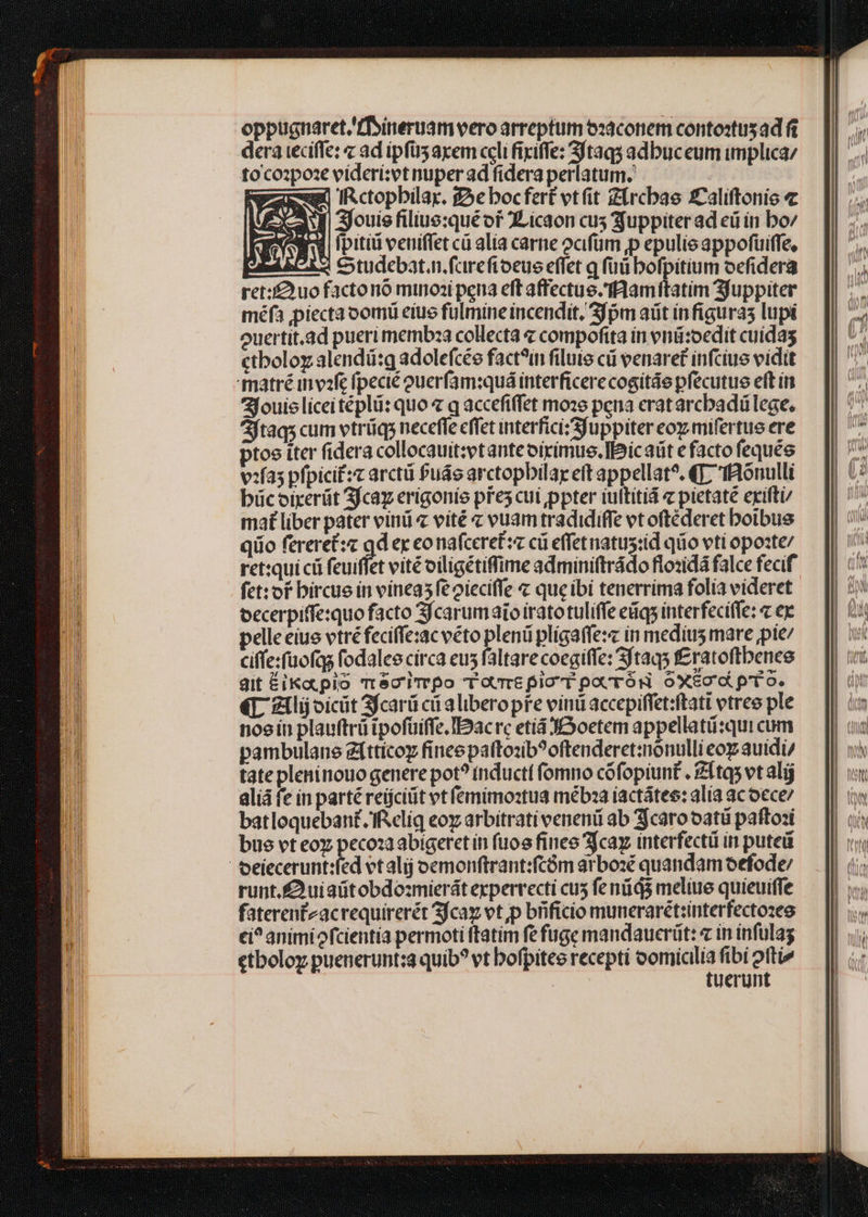 oppugnaret.'fToineruam vero arreptum o:aconem contostus ad fi dera teciffe: « ad ipfüsaxem celi firiffe: Sjtaqs adbuceum implica; toco»poze videri:et nuper ad fidera perlatum. Fez Ictopbilar. f5ebocfert vt(it Ztrcbae £Califtonis c [| 3fouie filiue:qué of XLicaon cus Suppiter ad eü in bo | fpitii veniffet c alia carne ocifüm ,p epulie appofüiffe, &amp;tudebat.n.fcireftoeue effet q füü bofpitium ocfidera ret:i£uo factonó minoz pena eft affectus. fHamftatim Sfuppiter méfa ppiectaoomü eiue fulmine incendit, Sj pm ait ín figuras lupi ouertit.ad pueri membza collecta « compofita ín vnü:oedit cuidas ctboloz alendá:g adolefcée fact? flute cü venaret infciue vidit louis licei téplü: quo « q accefiffet moze pena erat arcbadü lege. ftaqs cum vtrüqs neceffe effet interfici'Sfuppiter eo mifertue ere ptoo iter fidera collocauit:etante oirimue. I^ic aüt e facto fequée v:fas pfpicif:« arctü Puds arctopbilar e(t appellat^. (T7 fBónulli bücoirerüt 3fcay erigonio pres cui ppter iultitid « pietaté exifti/ mat liber pater vini vité « vuam tradidiffe et oftéderet boibus qiio fereret:« qd ex eonafceref:« cü effetnatus:id qiio vti opozte/ ret:qui cü feuiffet vité oiligétiffime adminiftrádo flo:idá falce fecif fct: of bircue in vineas fe oieciffe &amp; que ibi tenerrima folia videret pelle eiue vtré feciffezac véto plenü plígaffe:c in medius mare ,pie/ Ciffe:füofqs fodalee circa eus faltare coegiffe: 3ftaqs f&amp;ratoftbenee dit ÉiKa. plo m Sci Trpo rome pio T pocrós oxeoct pro. «L Zilijoicüt 3fcarü cii aliberopfe vinü accepiffet:ftati tree ple noe ín plauftrü ipofüiffe.IDacre etiáJSoetem appellatü:quicum pambulane zfttícoy fincepafto:sb^oftenderet:nonulli oz auidi/ tate pleninouo genere pot? inductt fomno cófopiunt . Zftqs vt alij alià (e in parté reüjcitit vt femimoztua mébaa iactátee: alia 3c o€ce/ batloquebant.ffielig eoy arbitrati venenüá ab 3jcaro oatü paffosi bue vt eoy pecoza abigeret in fuoe fines 2cay interfectü in puteü runt.£ uiaütobdo:mierát expervecti cus fe nds meliue quieuiffe faterenfzacrequirerét 3fcay vt p bificio munerarét:interfectozes ci? animiofcientia permoti ftatim fe fuge mandauerüt: « in infulag etboloy puenerunt:a quib? vt bofpitee recepti oomicilia fibi 2tti» tuerunt