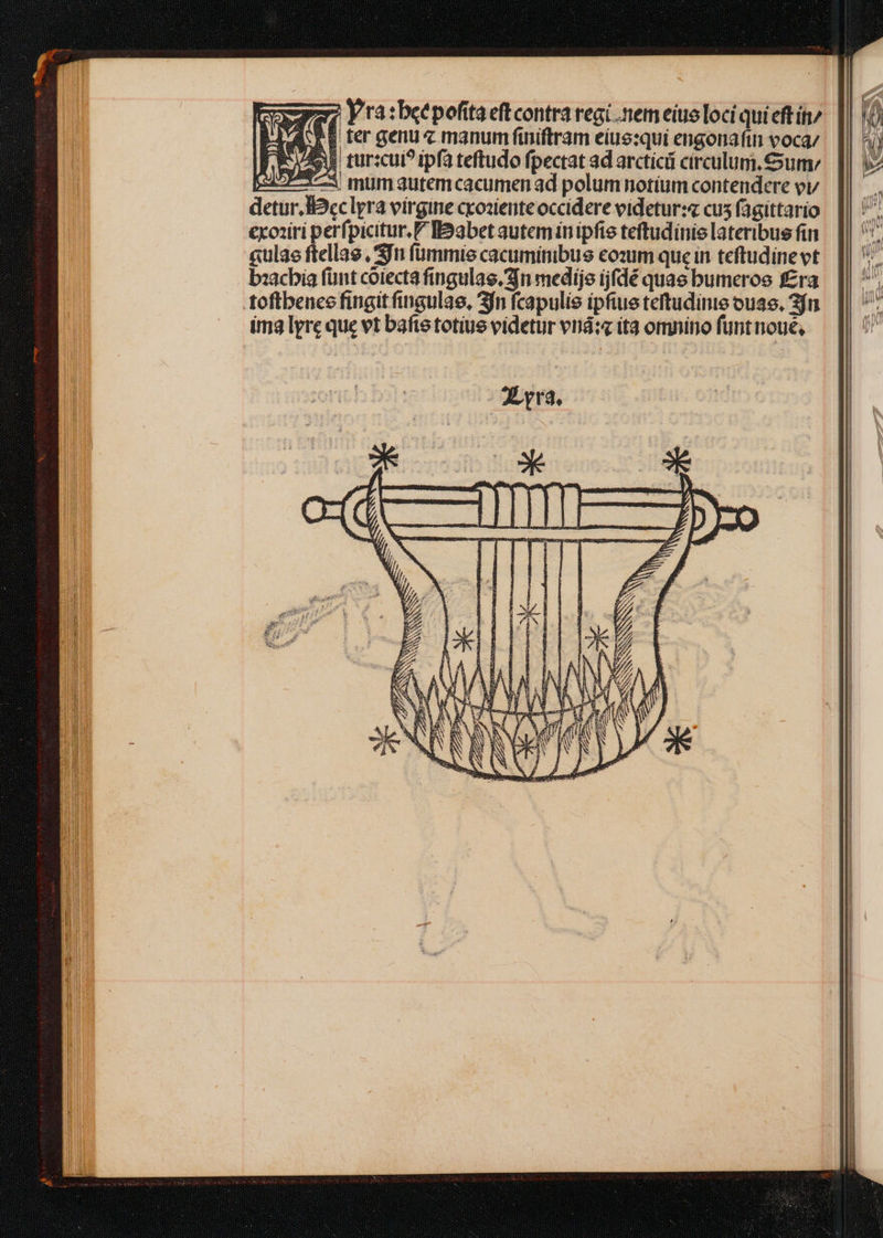 EP y ra:betpoftaeftcontra regi.nemeiueloci qui eftí/ Vi AVE rer genu« manum finiftram eius:qui engonafin voca/ E tur:cui? ipfa teftudo fpectat ad arcticii circulum, um ELS 1-5 mum autem cacumen ad polum notíum contendere ev detur. B2cclyra vírgine ccozienteoccidere videtur: cus fagittario exoniri perfpicitur.P IDabet autem inipfie teftudínie lateribus fin «ulae ftellae , jn fummie cacumimibus cozum que in teftudinevt baacbia fünt coiecta fingulas. 3In medije ijfdé quae bumeros f£ra toftbence fingit fingulae, 3n fcapulie ipfius teftudinte ouae. 3jn ima lyre que vt baftetotius videtur vriá:« ít omnino funt noué,