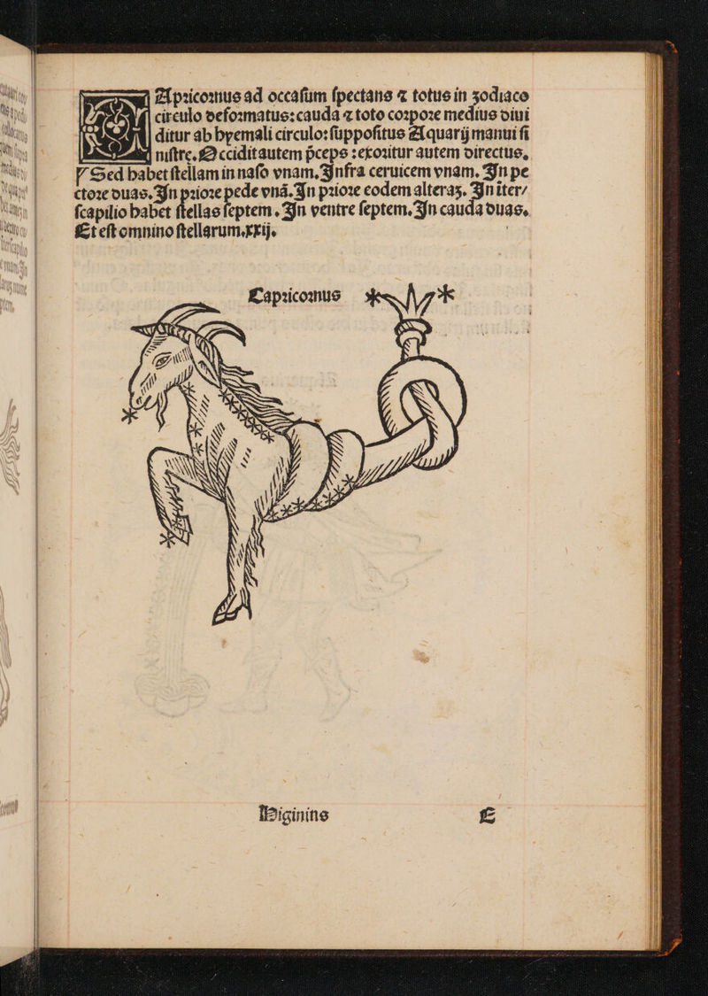 wzgzw) /Ipicouue ad occafüm fpectane « totuein 3odiaco J. 4| circulo eefo:xmatue: cauda z toto co»poze medius oiui Kap:icointus IBiginine