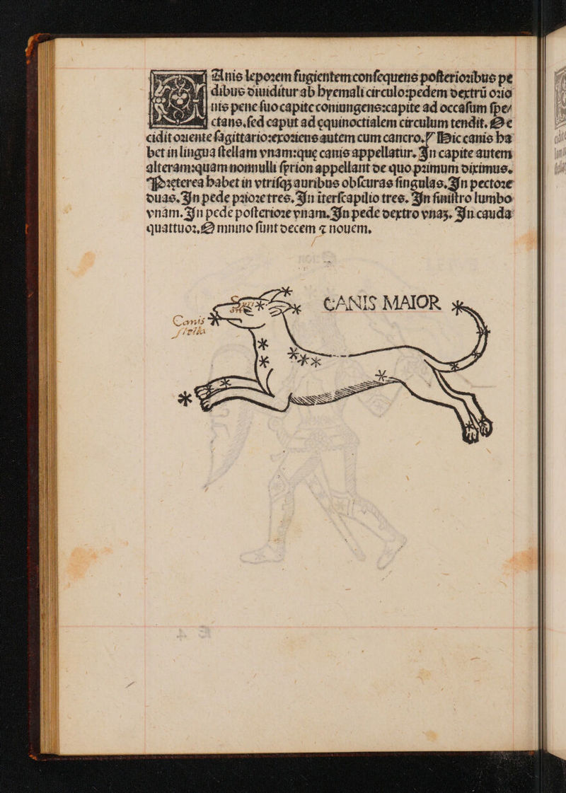 gi dinis leposem fugiettemconfequene pofteriosibus pe | dibue viuiditur ab byemali circulo:spedem oextrü oio X rte pene fuo capitc coniungene:capite ad occafüm fpe bet inlingua ftellam vnam:que canie appellatur. 31 capite autem glteram:quamnonnulli ferion appellant oe quo pzimum oirimus. quattuo: £2 mnine fünt oecem « nouem, ? —— W——— M x1 om e T ——— em. d iW ez ES | NE 2 e —-