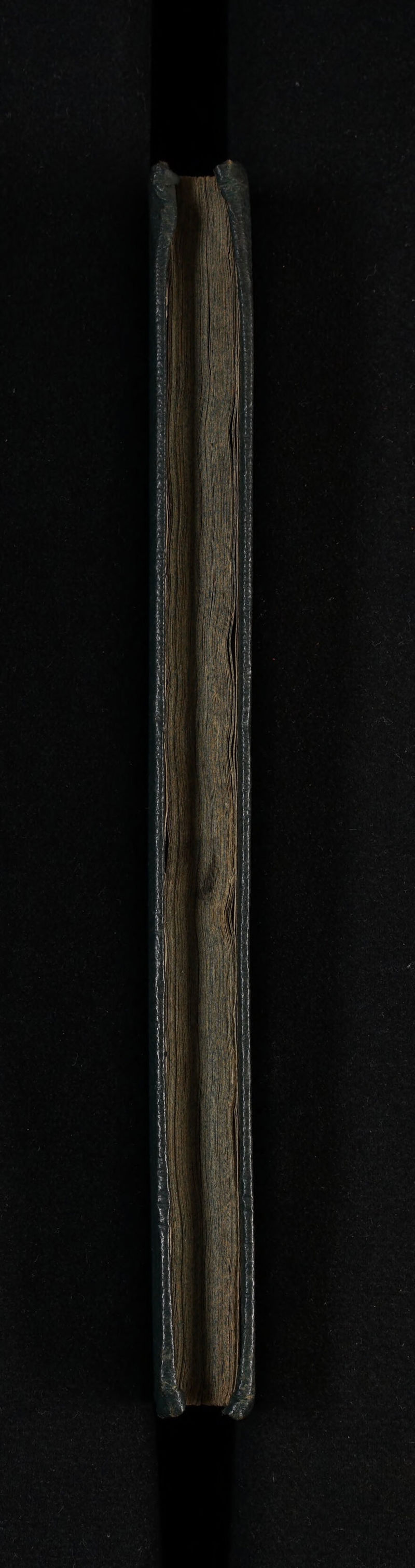 No text description is available for this image