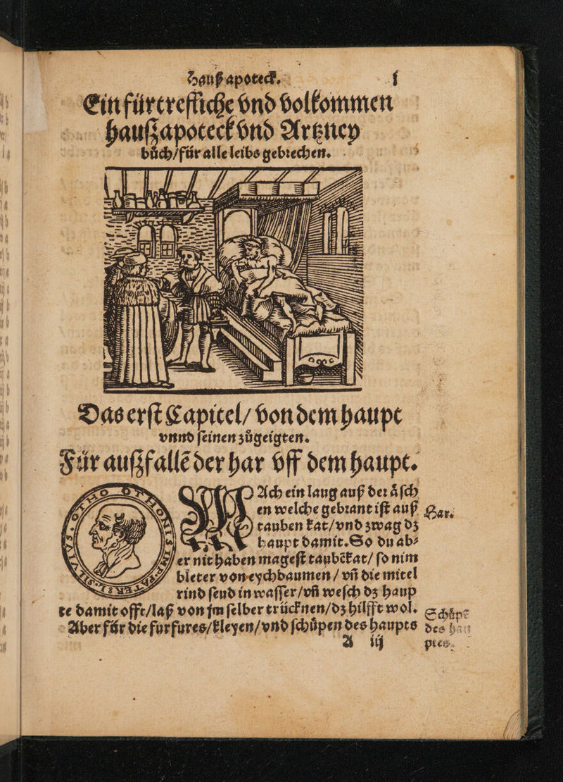 haußzapoteck ond Artznep bůch / für alle leibs gebꝛechen. a UA 8 g ER san Beau Mass Ga \ 5 8 = * =” Ka Fa Sp he 1 Al 5 el vnnd feinen zůgeigten. pics. 1 IM, I