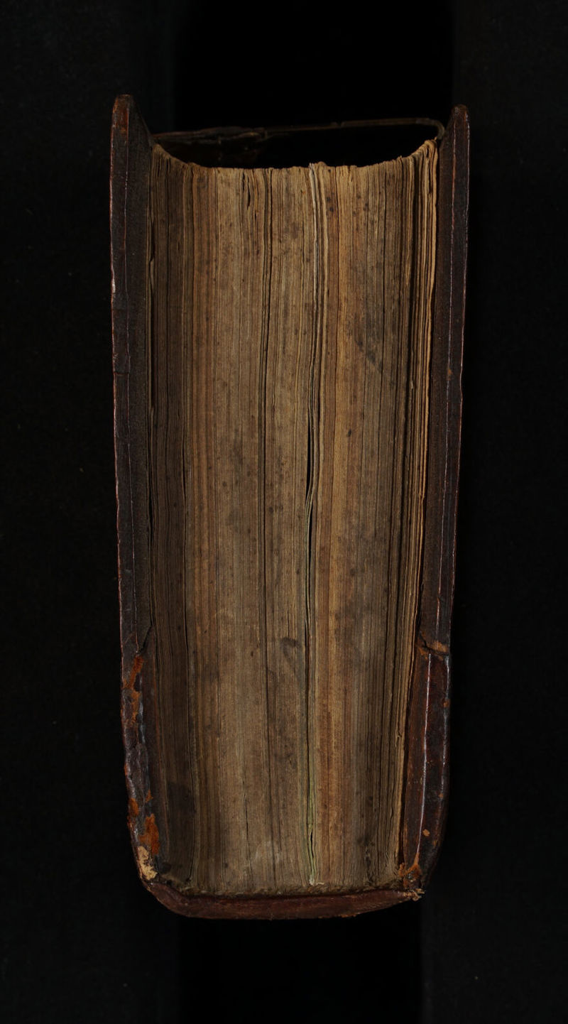 No text description is available for this image