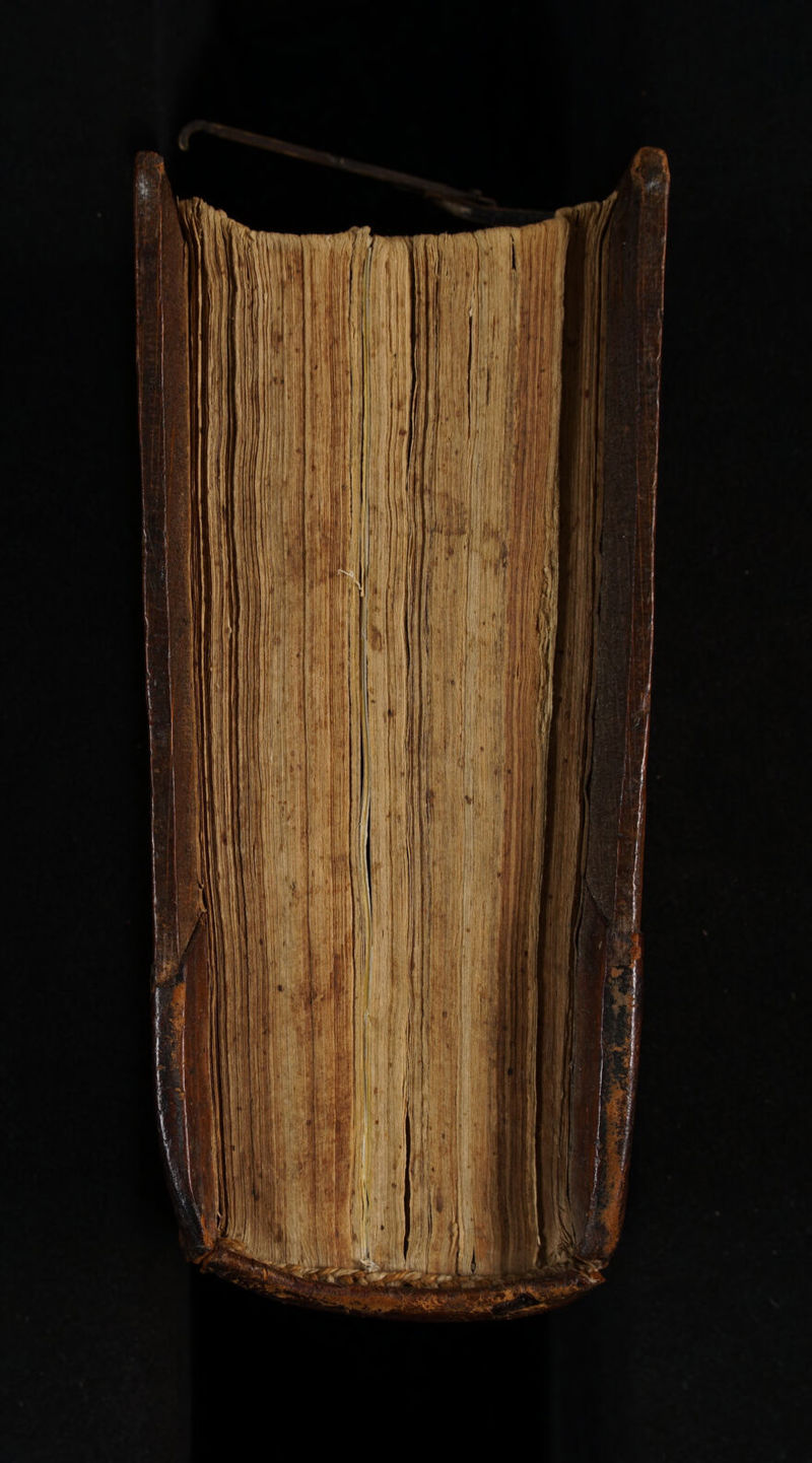 No text description is available for this image