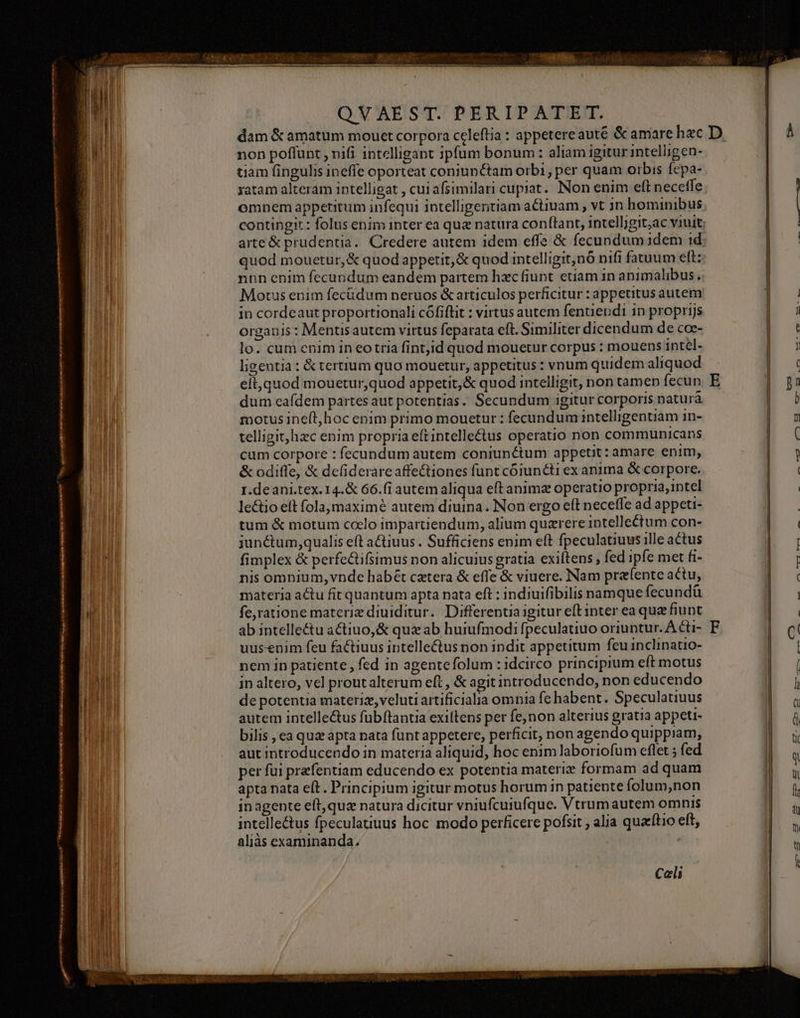 P di RSS non poffunt , nifi intelligant ipfum bonum : aliam igitur intelligen- tiam fingulis ineffe oporteat coniunctam orbi, per quam orbis fepa- ratam alteram intelligat , cuiafsimilari cupiat. Non enim eft neceffe Motus enim fecüádum neruos &amp; articulos perficitur : appetitus autem in cordeaut proportionali cófiftit : virtus autem fenuendi in proprijs organis: Mentis autem virtus feparata eft. Similiter dicendum de coe- lo. cum enim in eotria fint;id quod mouetur corpus : mouens intel- ligentia : &amp; tertium quo mouetur, appetitus : vnum quidem aliquod elt,quod mouetur,quod appetit, &amp; quod intelligit, non tamen fecun dum eafdem partes aut potentias. Secundum igitur corporis naturà motus ineft,hoc enim primo mouetur : fecundum intelligentiam in- telligit, hzc enim propria eftintelle&amp;us operatio non communicans cum corpore : fecundum autem coniunctum appetit : amare enim, &amp; odiffe, &amp; defiderareaffe&amp;iones funt cóiuncti ex anima &amp; corpore. r.deani.tex.14.&amp; 66.(i autem aliqua eft animz operatio propria; intel lectio eít fola, maximé autem diuina. Non ergo eft neceffe ad appeti- tum &amp; motum ccelo impartiendum, alium quzrere intellectum con- junctum;qualis eft a&amp;iuus . Sufficiens enim eft fpeculatiuus ille actus fimplex &amp; perfe&amp;ifsimus non alicuius gratia exiftens , fed ipfe met fi- nis omnium, vnde habét cztera &amp; effe &amp; viuere. Nam pra(ente actu, materia actu fit quantum apta nata eft : indiuifibilis namque fecundü fe,ratione materiz diuiditur. Differentia igitur eft inter ea que fiunt ab intelle&amp;u actiuo,&amp; qua ab huiufmodi fpeculatiuo oriuntur. A Cti- uus-enim feu factiuus intelle&amp;tus non indit appetitum feu inclinauo- nem in patiente , fed in agentefolum : idcirco principium eft motus in altero, vel proutalterum eft, &amp; agit introducendo, non educendo de potentia materiz, veluti artificialia omnia fe habent. Speculatiuus autem intelle&amp;us fubftantia exiltens per fenon alterius gratia appeti- bilis , ea qua apta nata füntappetere, perficit, non agendo quippiam, aut introducendo in materia aliquid, hoc enim laboriofum eflet ; fed per fui przfentiam educendo ex potentia materiz formam ad quam apta nata eft. Principium igitur motus horum in patiente folum,non in agente eft, quz natura dicitur vniufcuiufque. Vtrum autem omnis intellectus fpeculatiuus hoc modo perficere pofsit , alia quaítio eft, aliàs examinanda. à Cali