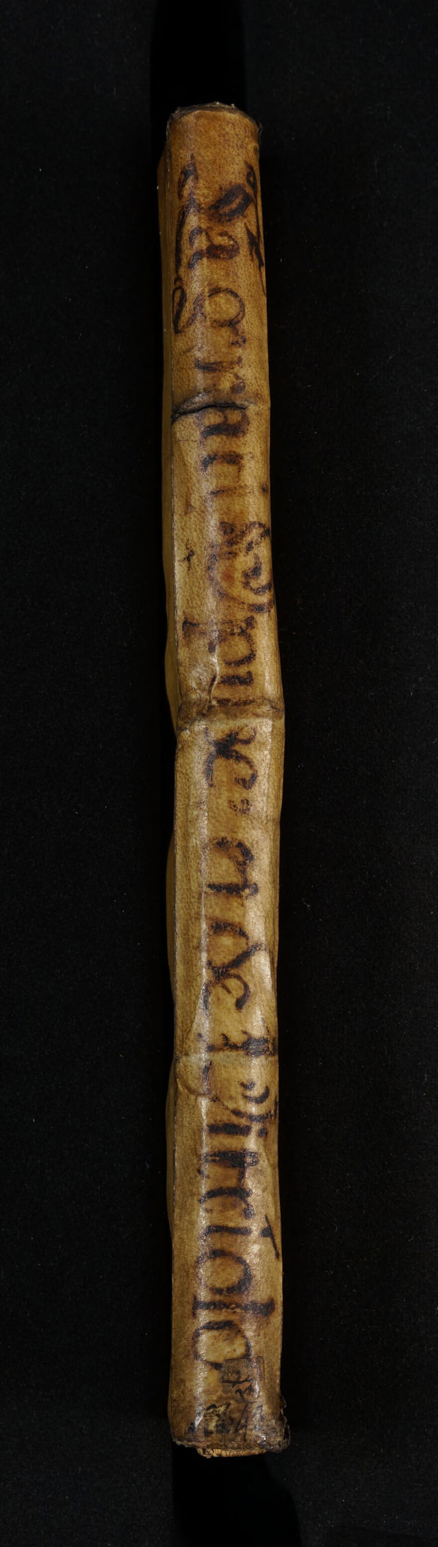 digitised image 2