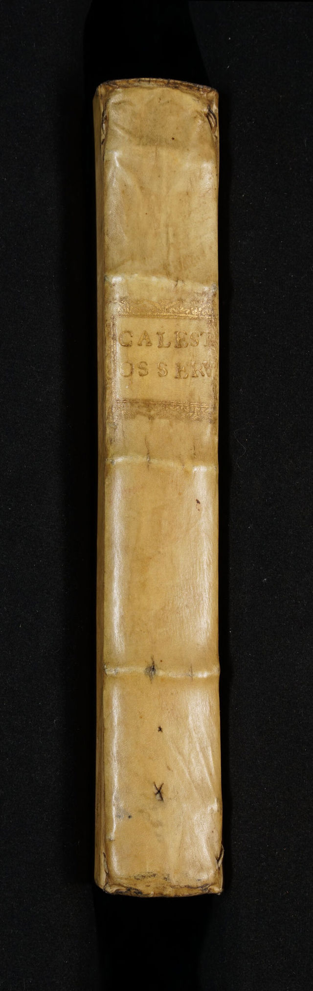 digitised image 2