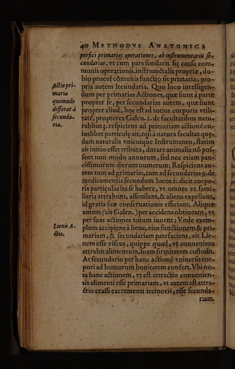 Act 10 pri- hat tA. quomodo differat à fecunda- 714. Lieuis A- éito. 4) MrrBopvs ANWATOMICA perfici prünarias operationes ; ab inftrumentaviis fe cundarias ,vt cum pars fimilaris fit caufa com. munis operationis,inftrumétalis propria ,du- bio procul cómunis fundo fit primaria; pro- pria autem fecundaria. Quo loco intelligen-. dum per primarias Actiones, quz fiuntàparte propter fe, perfecundarias autem, quefiunt. tat&amp;, propterea Galen. 2. de facultatibus natu.: ralibus 3.refpiciens ad primariam actioné cu iuslibet particule aitni rànatura facultas quee. dam naturalis vnicuique Inftrumento, ftatim ab initio effet tributa, durareanimalia nó pof... fent non modo annorum, fed nec etiam pau-; ciffimorum dierum numerum; Refpiciensau-; tem tum ad primarias,tum ad fecundarias g.de; medicamentis fecundum locos2. dicit corpos: ris particulasita fe habere, vt omnes yt famis. laria attrahunt, affimilant,&amp; aliena expellunt;; id gratia fue conferuationis efficiant, Aliqua; autem (ait Galen. )per accidensobtineant; vt. per fuas actiones totum iuuent ; Vnde exem- plumaccipiensa liene, eius fun&amp;ionem &amp; pri« mariam , &amp; fecundariam patefaciens , ait. Lie-. attrahitalimentum,fuam firmitatem cuftodit,. Atfecundario per hanc a&amp;tioné vniuerfocor« poriad humorum bonitatem confert. Vbino- ta hancactionem, yt eft-attractio conuenien- tis alimenti effe primariam , vt autem eftattra- &amp;io ctaffi excrement iccinoris; effe fecunda- ; Tiam.