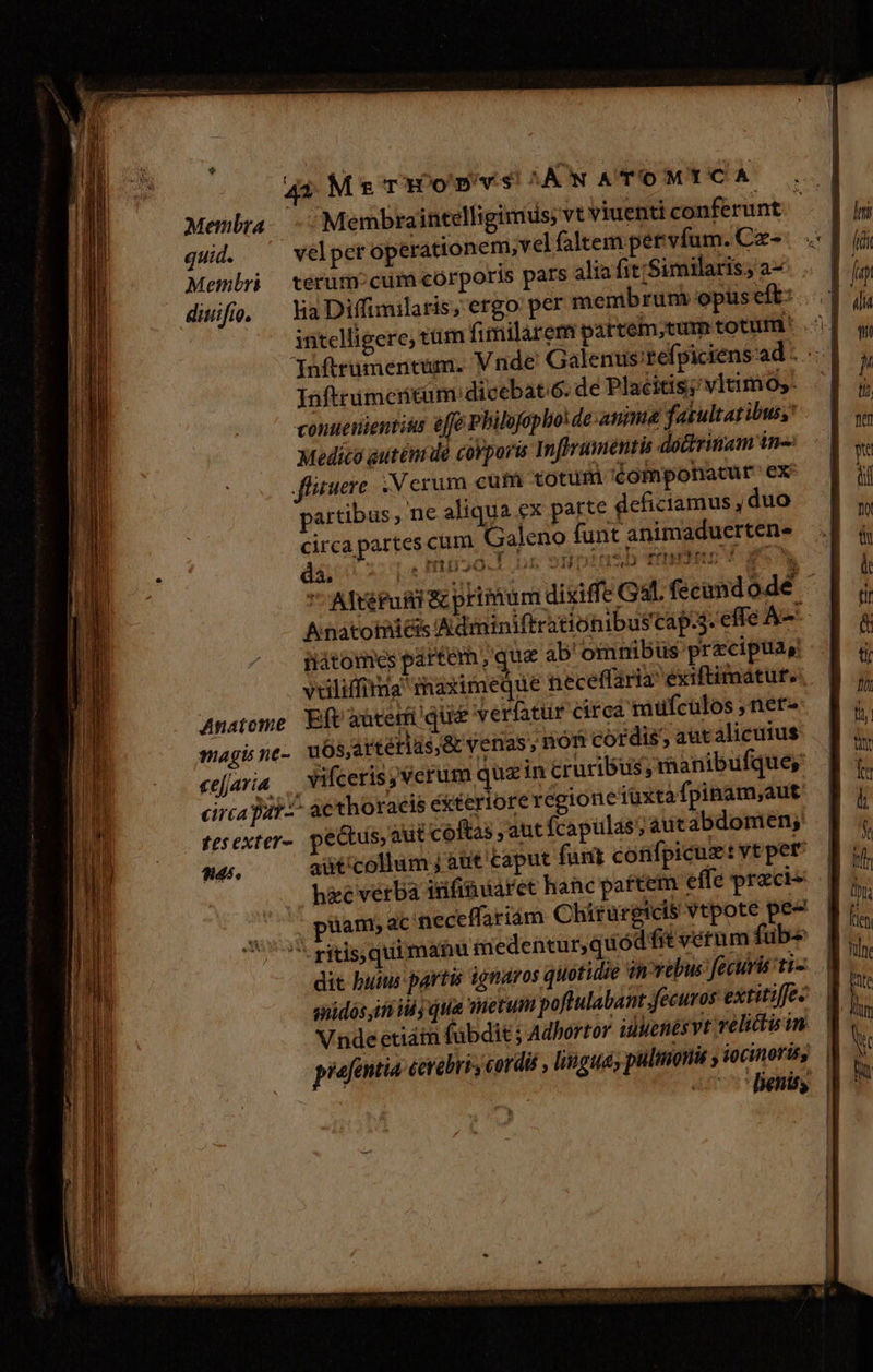 4s Ms roD vs ANA To MYCA quid. velpet operationem, vel faltem pervfum. Cz- Membri terum cum corporis pars alia fit. Similaris; a- Infirumertam dicebat 6. de Placitis; vltimo;- conuenientius effé Pbilofopho! deat fasultaz ibus, Medica auténm dé covporis Infhrumentis dodhrinam ín: fluere Verum cum totum 'éomponatur' ex partibus, ne aliqua ex parte deficiamus ,duo circa partes cum Galeno funt animaduertene da. 14 D nti50.! br SHDIBMTA rrt 2s  Altéfuiai Sc primum dixiffe , ,] v nátomes partem, que ab'oinnibüs przciptay: Anatome Eft aoterfi que verlatur circa mufculos , ner- magis ne- uós;artérias,&amp; yenas, nom cordis; autalicuius cejaria . Yifceris; verum qua in cruribus; raanibufque, circa pat2- ac thoracis é&amp;terioreregione iüxtafpinam,aut tesexter- pectus, aut coftas aut fcapilas; aucabdomen, 946. aüt'collum j aüt caput funt confpicu: vt per hzc verba infinuaret hanc pattem effe preci puüam, ac neceffariám Chirurgicis vtpote pe« ^ ritis, quimatu medentur, quod fit veétum fub die buts partis ignaros quotidie an rebus fecuri ti- snidósin dj qua metum poflulabant.fecuros extitiffe- Vnde etiáti fubdit j Adbortor iuMenés vt relictis in. prefentia cerebri cordis , lingua; pulinonis ; iocinoris, ; o0 fenis ^ nin um fien ete