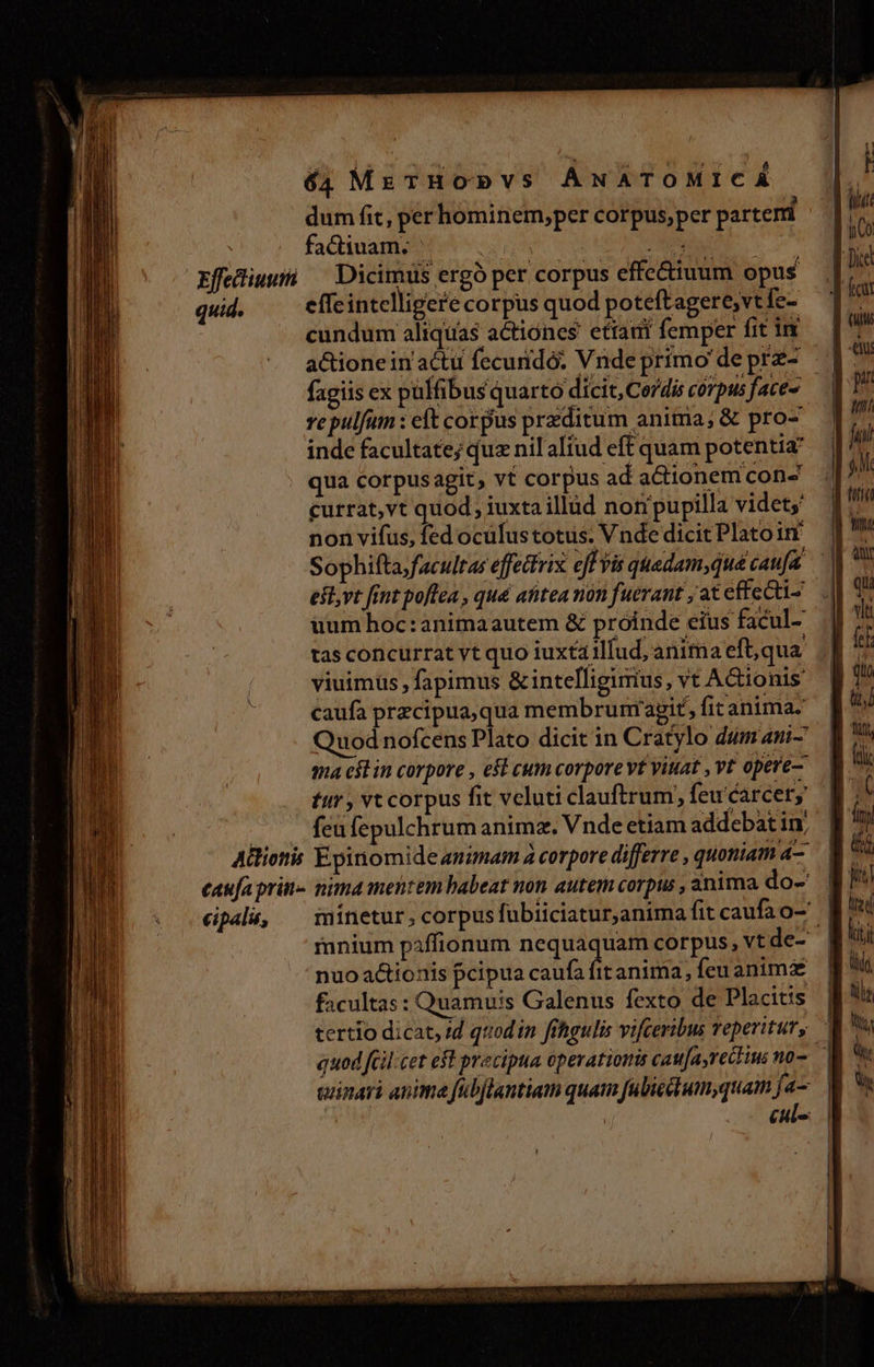 facium; Tip | rfeHiuu — Dicimus ergó per corpus effectiuum opus quid. effe intelligere corpus quod poteftagere,vt fe- cundum aliquas actiónes ctiani femper fit in a&amp;tionein actu fecuridó. Vnde primo deprz- | fagiis ex pulfibus quarto dicit, Ce/dis córpus face — | ve pulfum : eft corpus przditum anima; &amp; pro- inde facultate; quz nilaliud eff quam potentia p qua corpusagit, vt corpus ad a&amp;ionem con- currat,vt quod, iuxta illud non pupilla videt non vifus, fed ocülus totus. Vnde dicitPlatoim | Sophifta;facultas effedirix eff vis quedam,qué caufa. | est,vt fint poftea , qué afitea non fuerant , at effe&amp;i- .J ium hoc:animaautem &amp; próinde eius facul. t tas concurrat yt quo iuxta tllud, anima eft, qua |: f viuimus , fapimus &amp;intelligurius, vt AGionis ] ou caufa precipua, qua membrunmragit, fit anima. t Quod nofcens Plato dicit in Cratylo dum ani- Wt qa est in corpore , eft cum corpore vt vitat , vt opere— E Em LT Any tir , vt corpus fit veluti clauftrum, fewcarcery B. ( feu fepulchrum animz. Vnde etiam addebat in; hi | i Atliotis Epinomide animam à corpore differre , quoniama- M * caufa prit nima mentem babeat non autem corpus , anima do-' | ld cpalt, — minetur, corpus fubiiciatur,anima fitcaufao- f mnium piffionum nequaquam corpus,vtde- MU nuo actionis pcipua caufa a anima,feuanimz | did facultas : Quamuis Galenus fexto de Placitis ff! tertio dicat, /d quodin fhgulis vifceribus veperitury t, quod fGil-cet est precipua operationis caufayrectius no-.— | d guinari anima fabflantiam quam fulicdlum,quam fas. M 9v | cul-