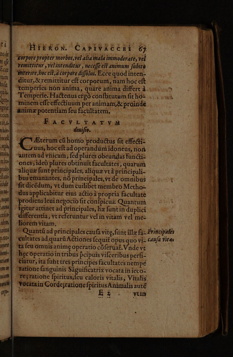 HikKóN. CaPIVACCER 6j korpore propter morbos, vel alia mala immoderate, vel remittitur ,velintenditur , neceffe eft antmum fabitó imnterire,boc est, à corpore diffülui. Ecce quod inten- ditur,&amp; remittitur eff corporuni, nam hoc eft | temperies nón anima, quare arma differt à Temperie. Hactenus ergó cónftitutum fit hó- | minem effeeffectiuum per animam; &amp; proinde &amp;nimz potentiam feu facultatem. PACVYVLTATVAHA ' diuifio. , digit cá horno produ&amp;us fit effe&amp;tiz uus, hoceftad operandüni idoneus, non autem ad vriicam; fed plures óbeundas funá&amp;iz ones; ideo plures obtinuit facultátes , quarum aliqui funt principales, aliquz vtà principali- buseranantes, nó principales, vt de ómnibus fit dicédum; vt dum cuilibet rnembro Methoz dusápplicabitur eius actio à propria facultaté prodiens leui nepocio fit conípicuá: Quantum ieitur attiriet ad principales, liz funtin duplici differentia; vt referuntur vel in vitam vel mez liorern vitam; iss v ! Quantáü ad principales catifà vite, fünt illa faz Pr incipstes cultates ád quarü A&amp;tiories fequit Opus quo vi- CAUA Yites ta feu ómnis anime operatio cófertüat. V nde vt hec óperatio in tribus pcipuis vifceribus perfi- Ciatur, ita füht tres principes facultates nempe ratione fariguiriis Ságuificatrix vocatà in iecoz re;ratiohe TU caloris vitalis; Vitalis