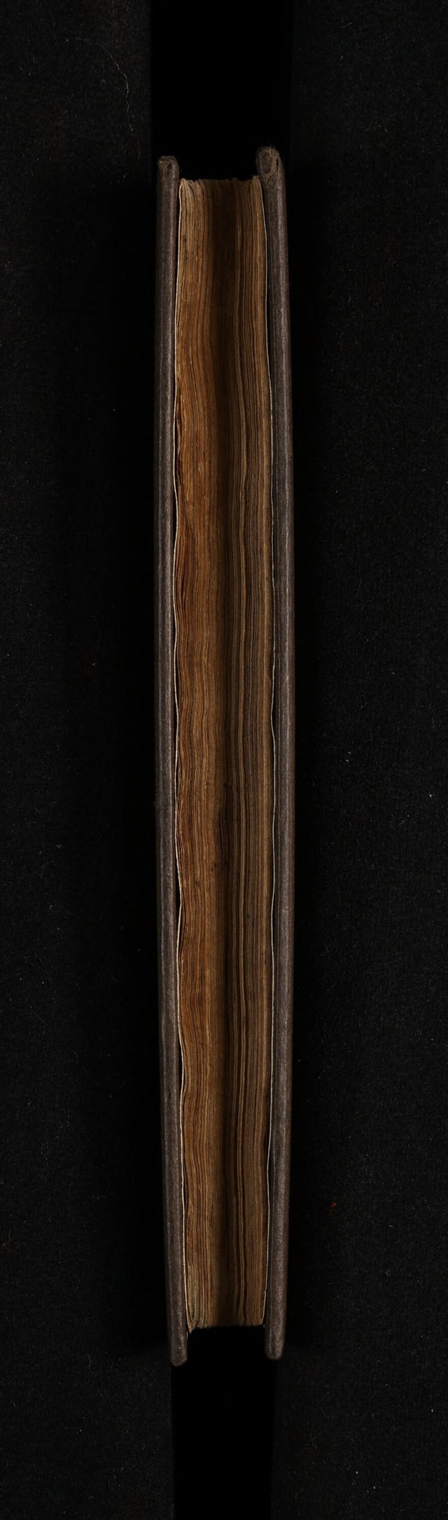 digitised image 3